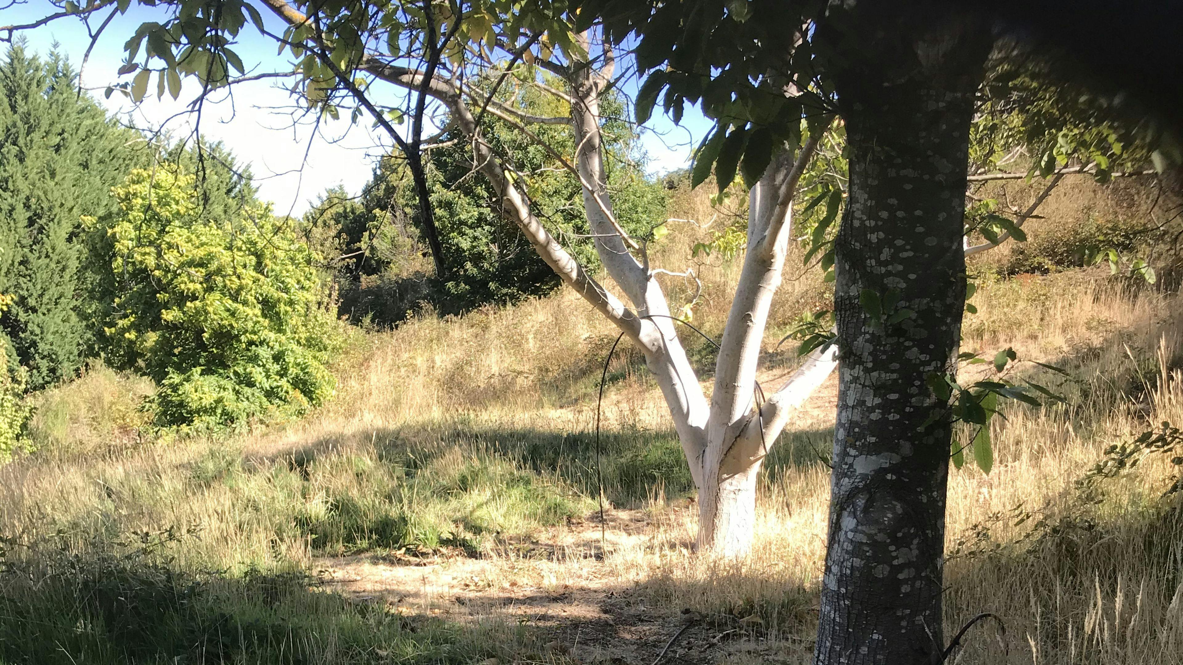 Chestnut Grove Visit Adelaide Hills