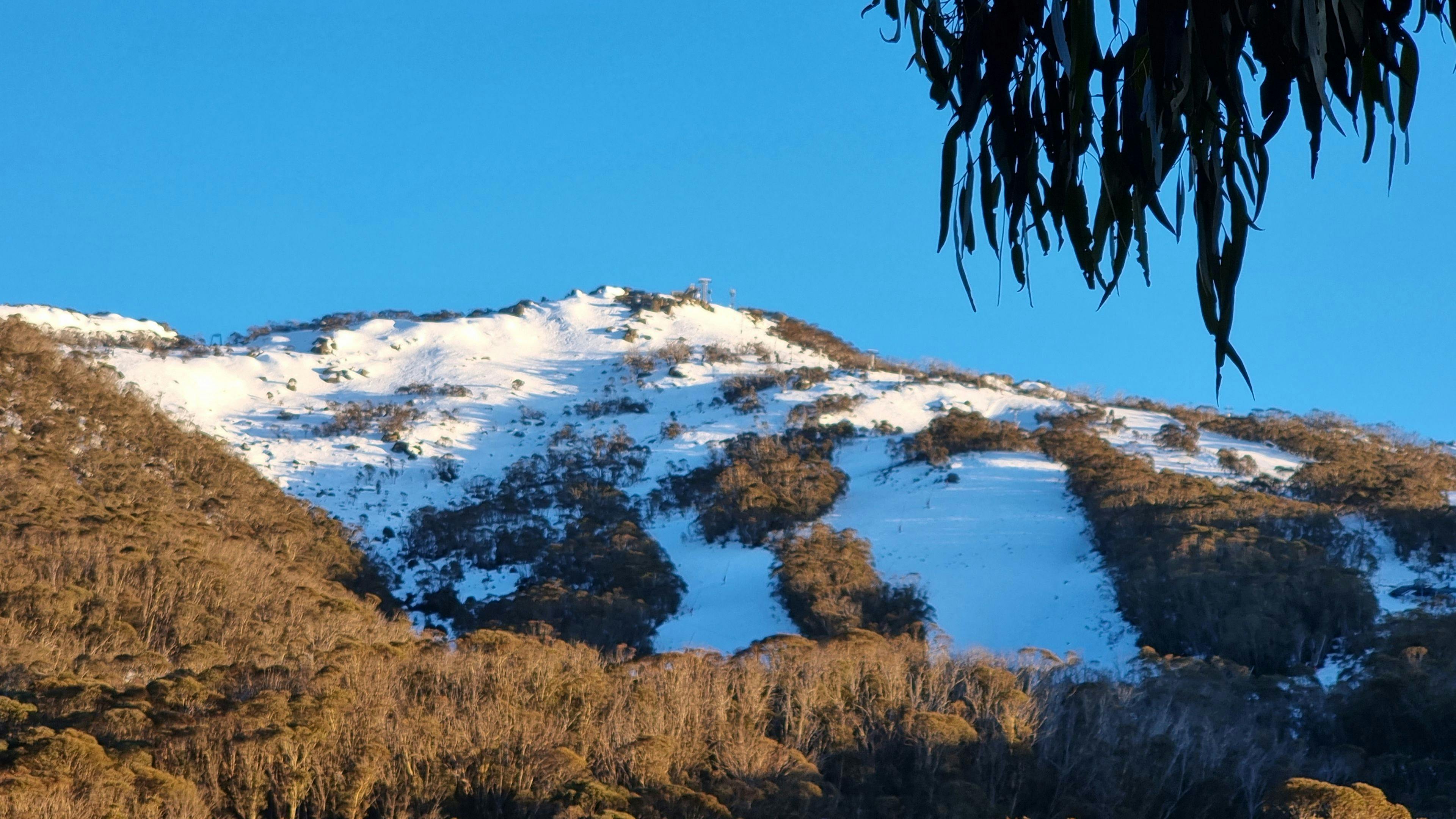 발코니에서 본 풍경