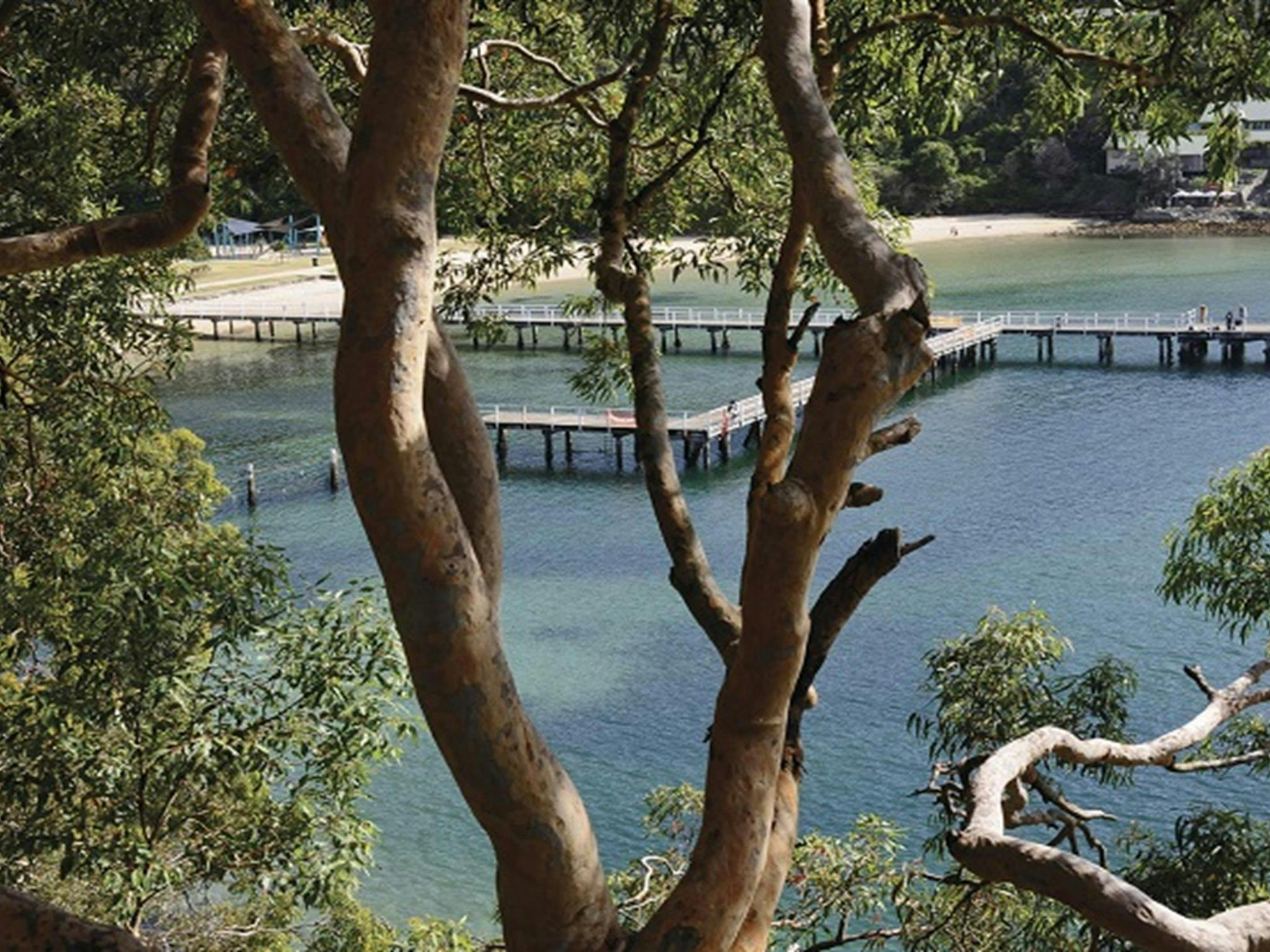 Chowder Bay – Gooree