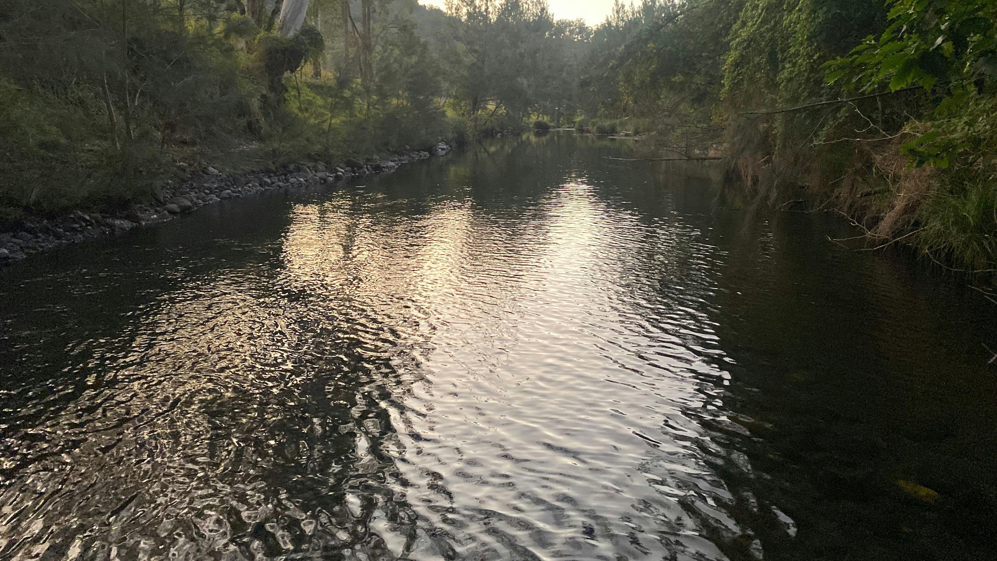 Christmas Creek Cedar Cabin & Camp