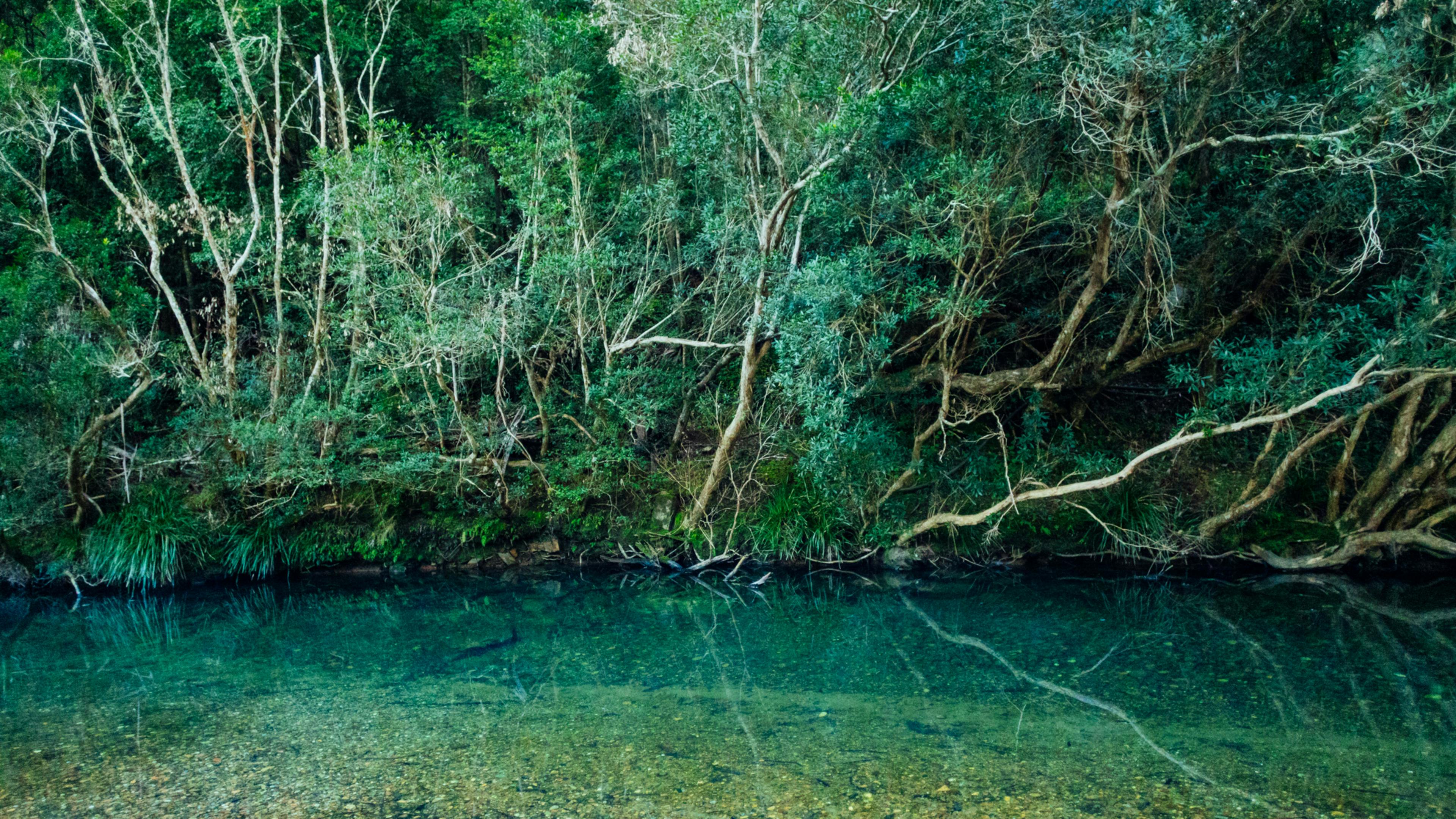 Clear water of the creek that runs through the property