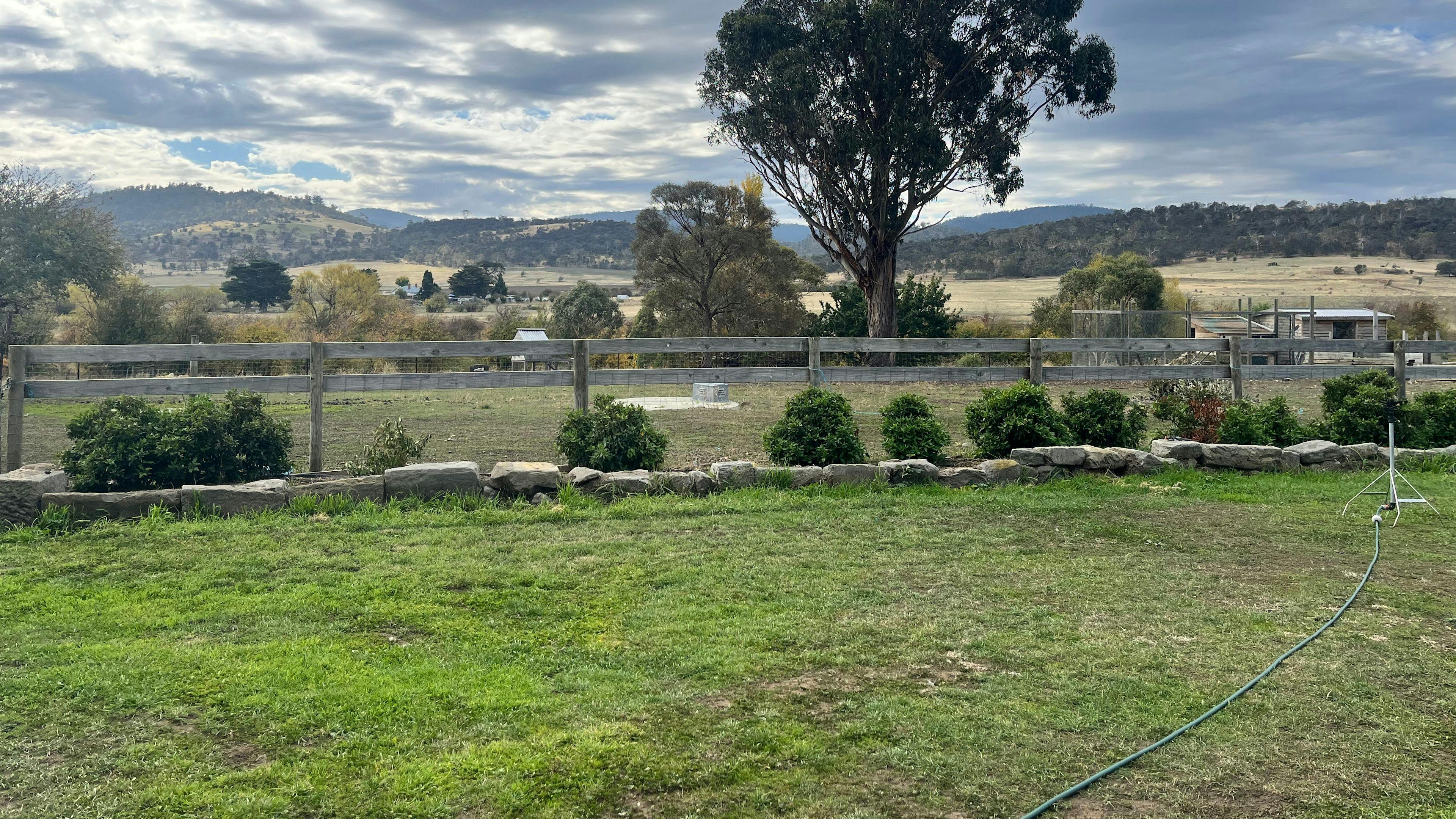 Tea Tree Farm