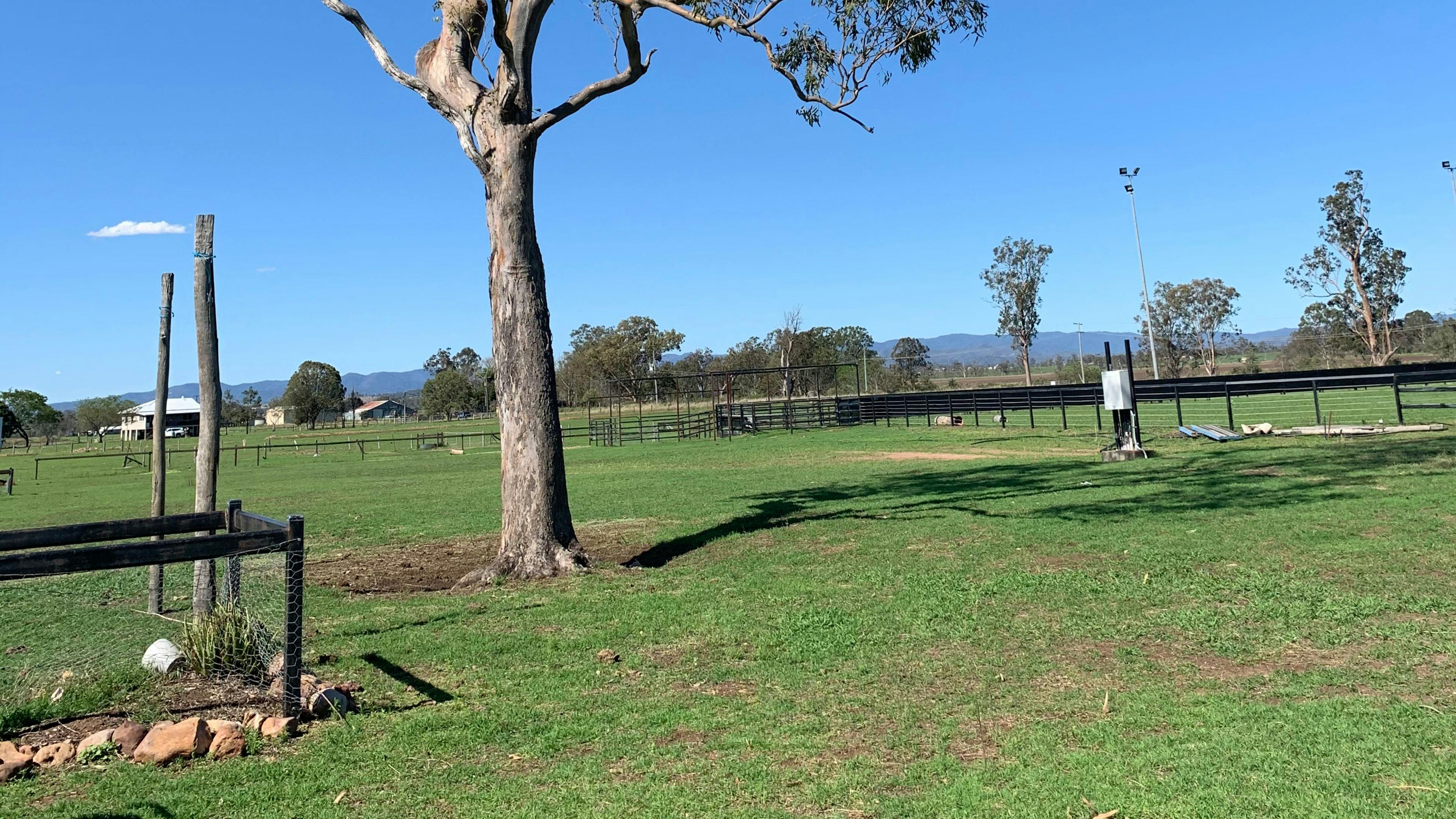 Clancy's on Clarendon