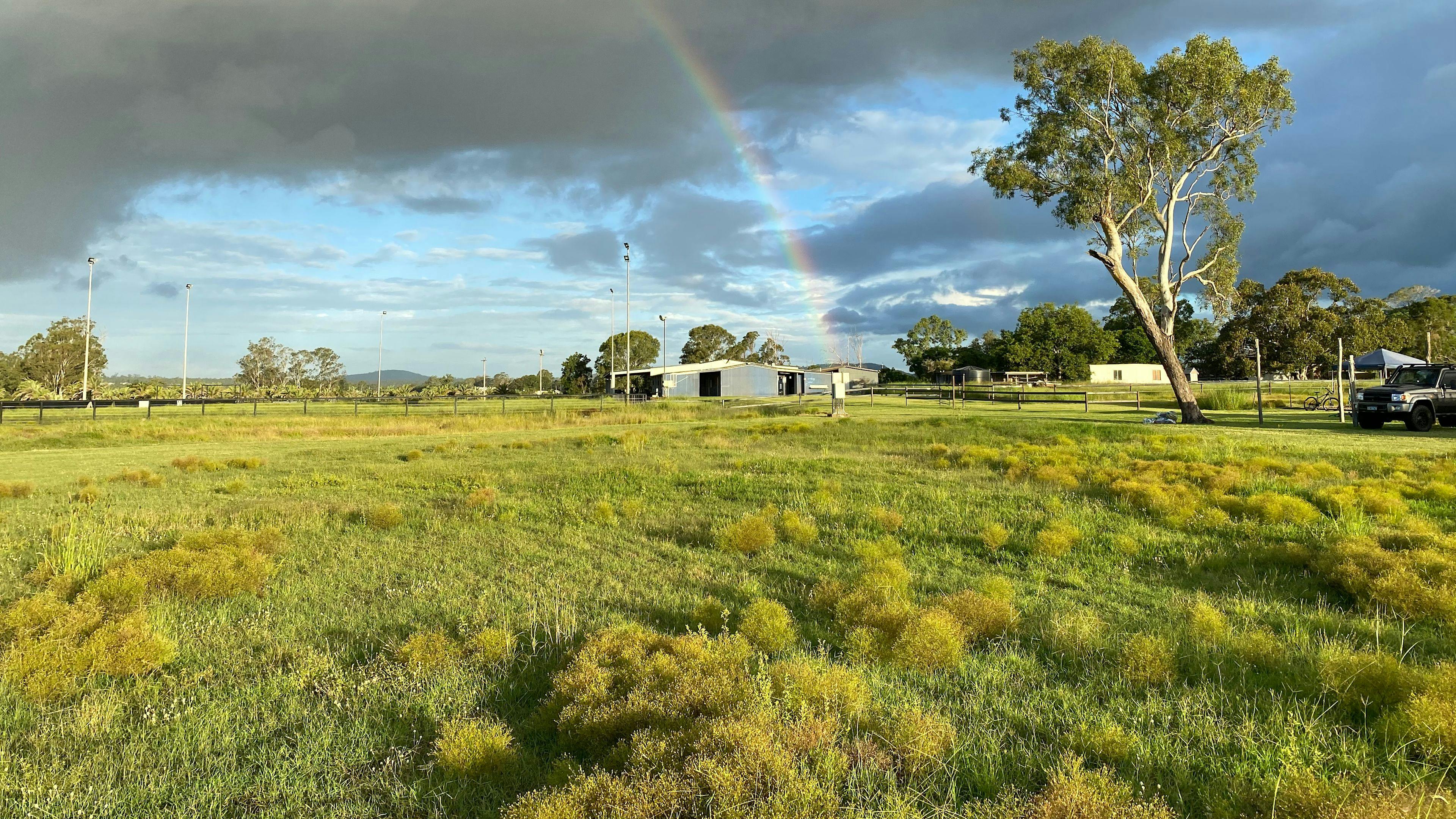 Clancy's on Clarendon