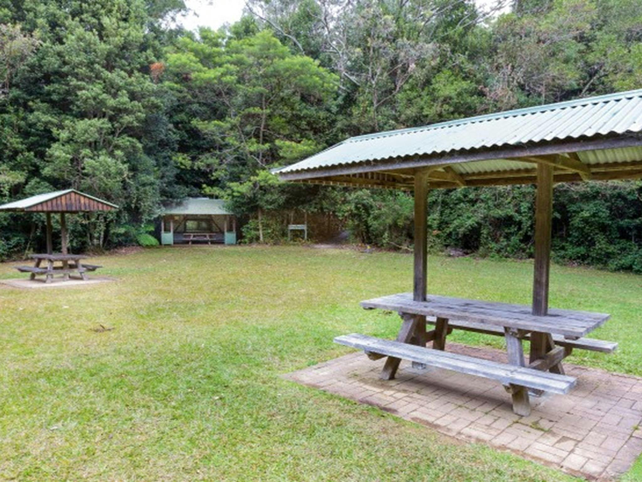 Picnic shelters at Coachwood picnic area in Washpool National Park. Photo: Rob Cleary &copy; OEH