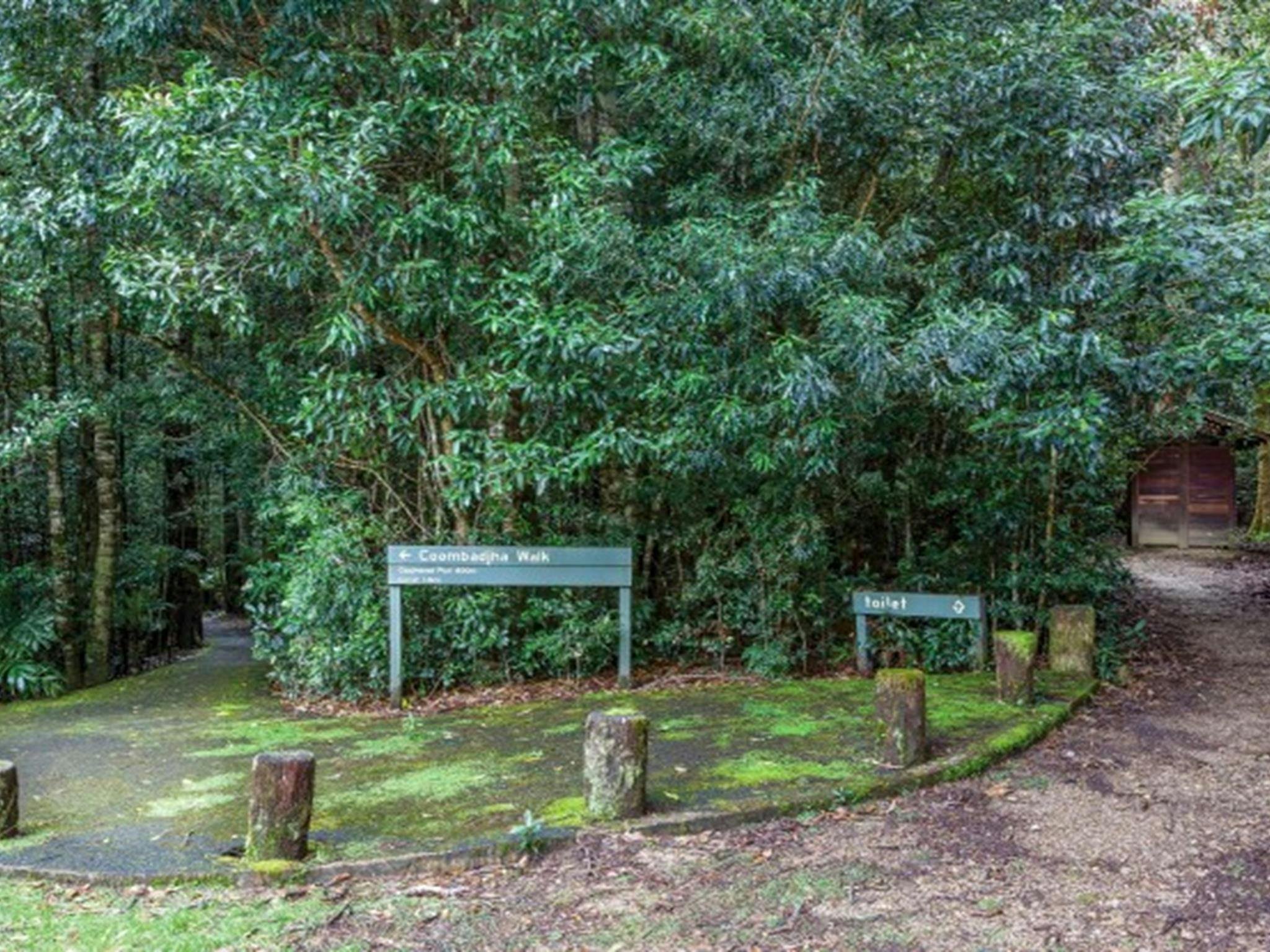 The start of Coombadjha nature stroll which begins from Coachwood picnic area in Washpool National