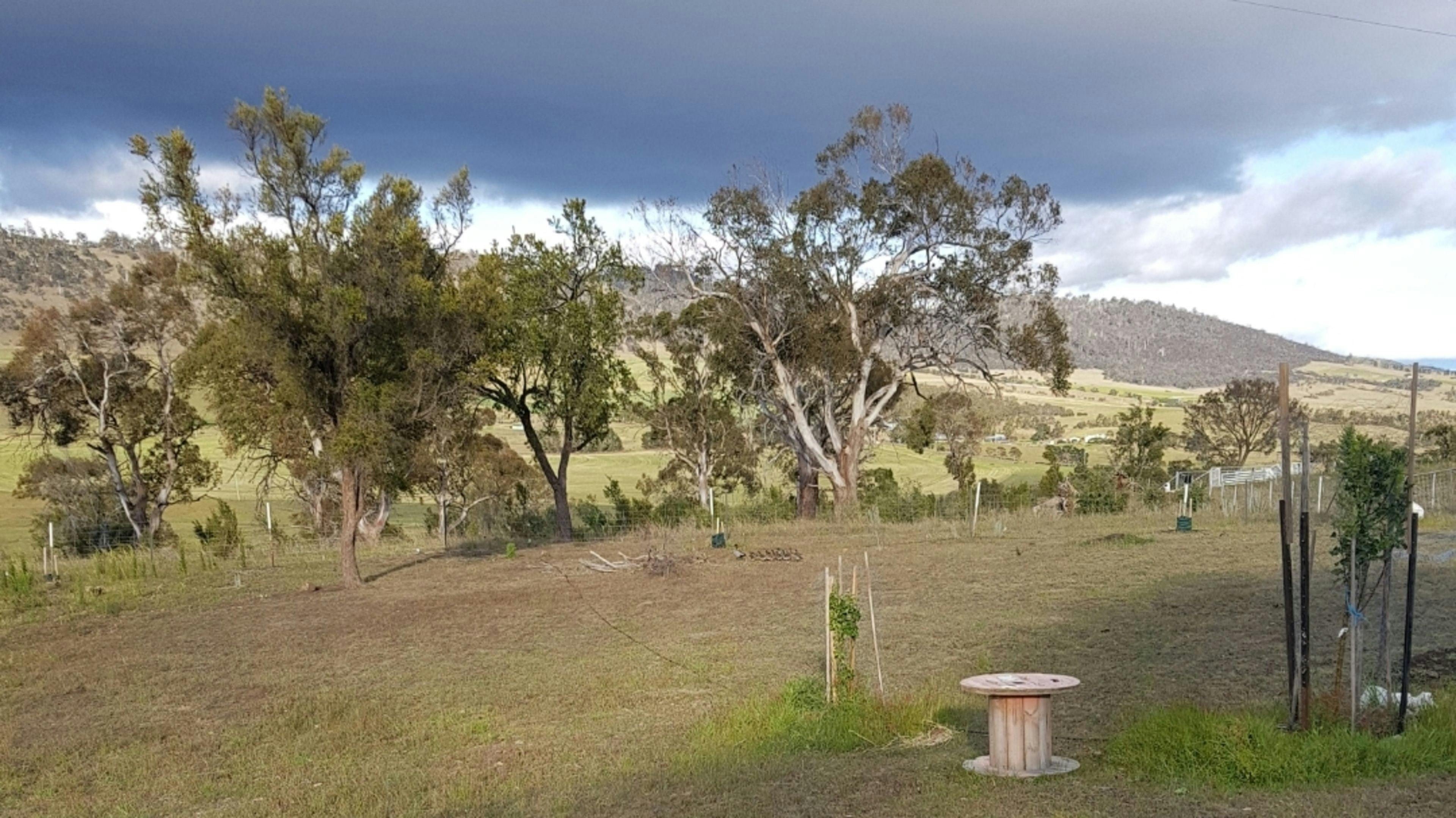 Coal Valley View Hobby Farm