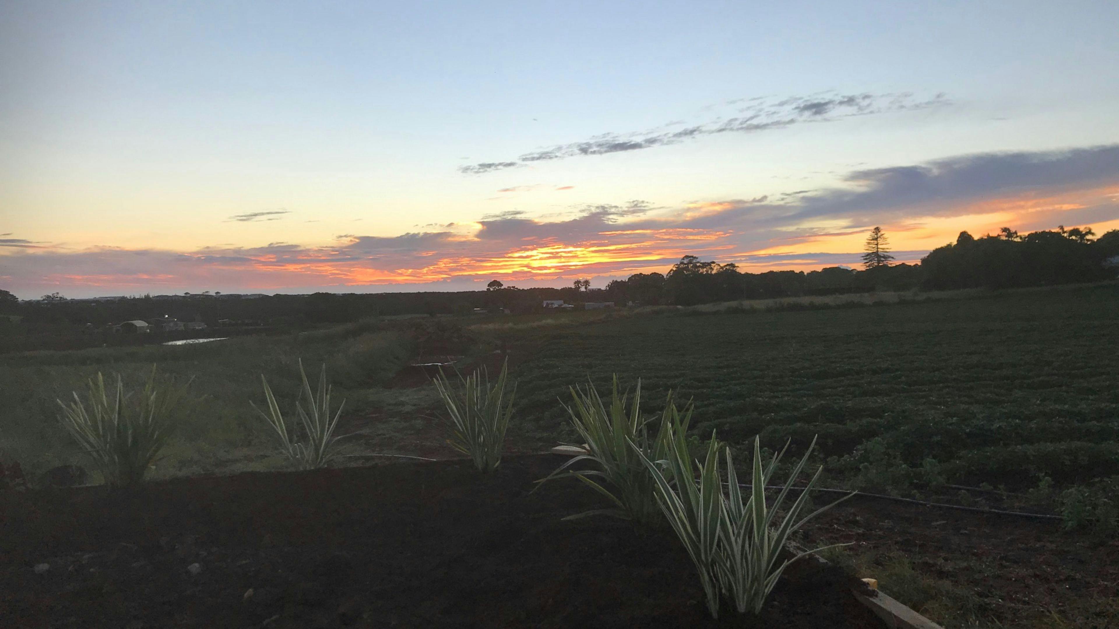 Sunrise from the top site.
Ridiculous views!