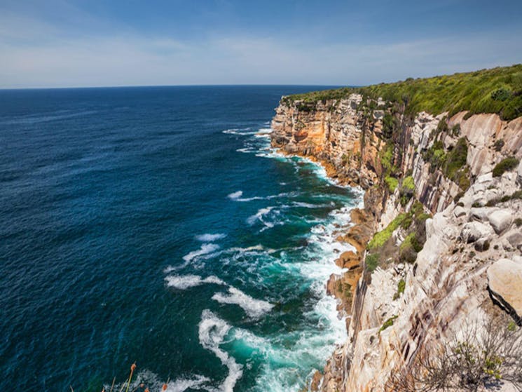 Stunning cliff tops views over the Pacific Ocean in Royal National Park. Photo: David Finnegan/OEH