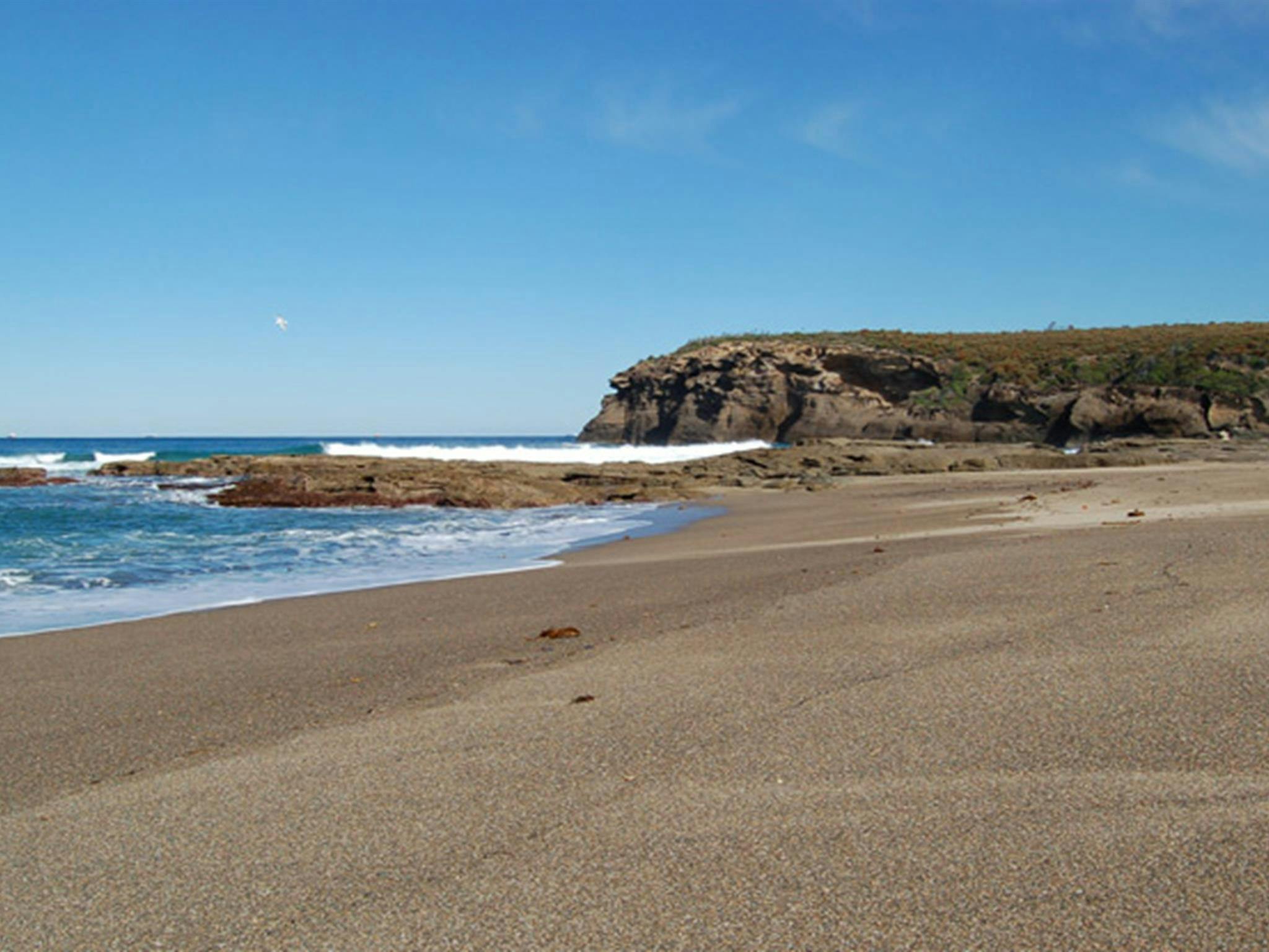 沿海步行。照片：苏珊·戴维斯/OEH