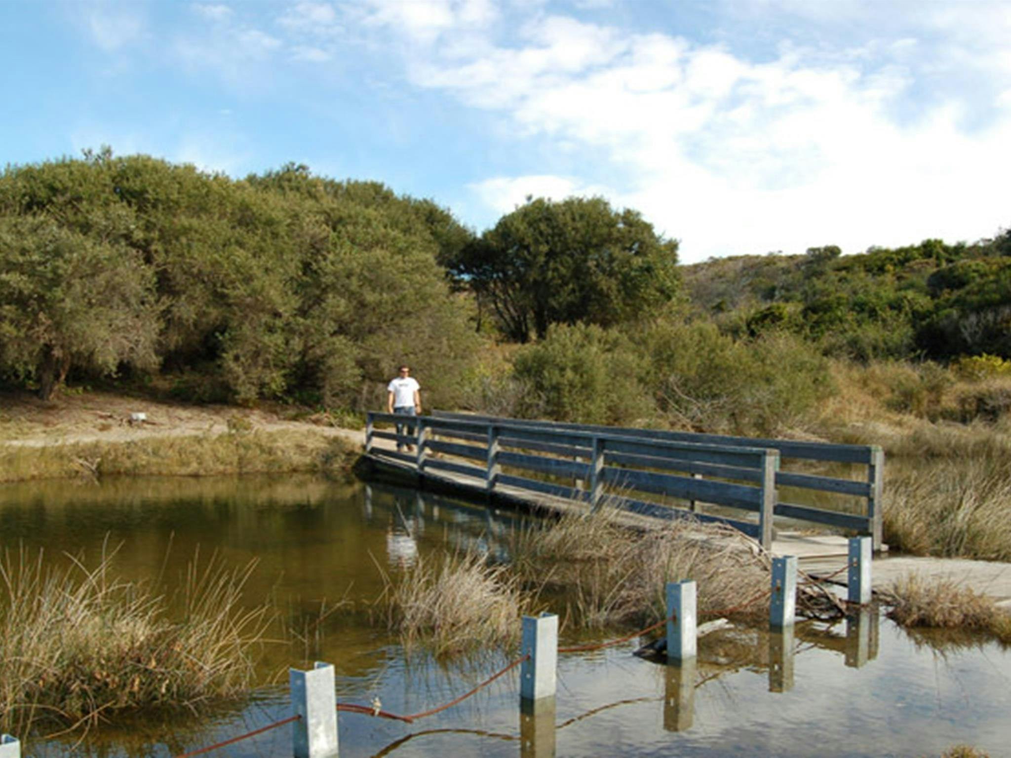 沿海步行。照片：苏珊·戴维斯/OEH
