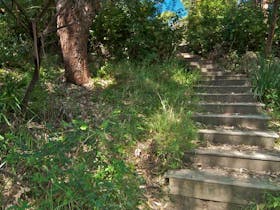 The Coast walking track