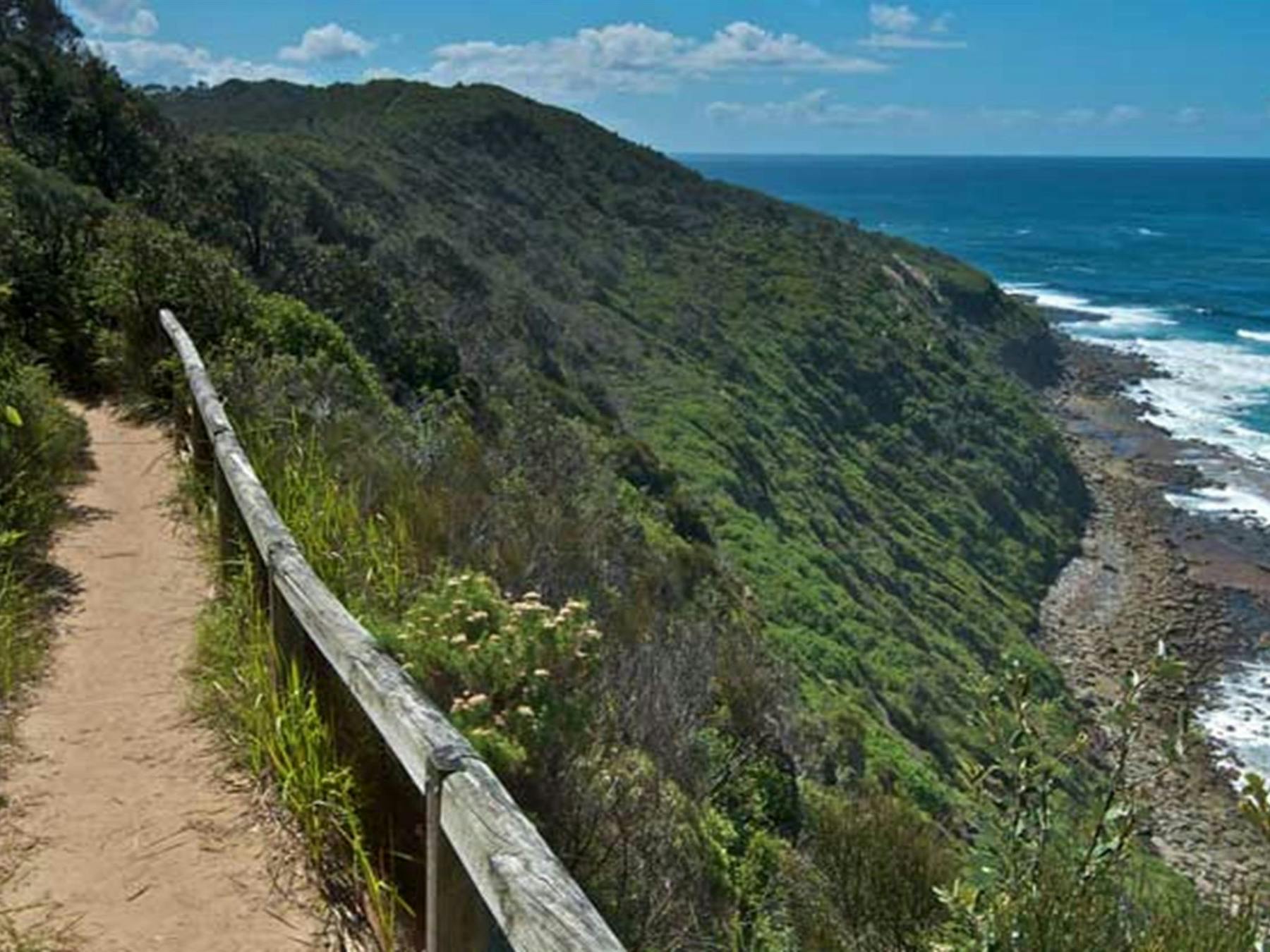 Coastal walking trail, Wyrrabalong National Park. Photo: John Spencer/OEH