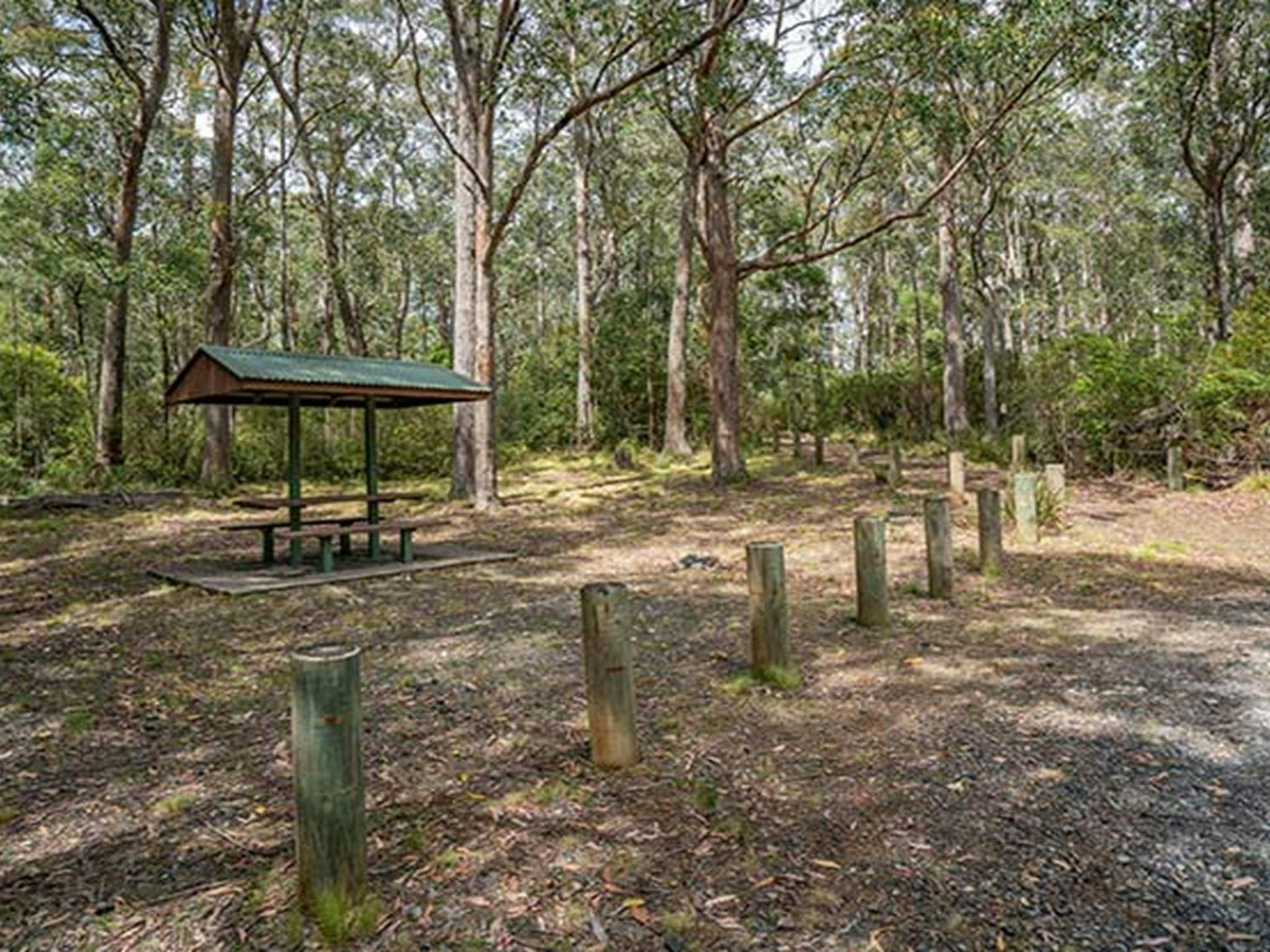 A covered picnic table at Cobark Park picnic area in Barrington Tops National Park. Photo: John