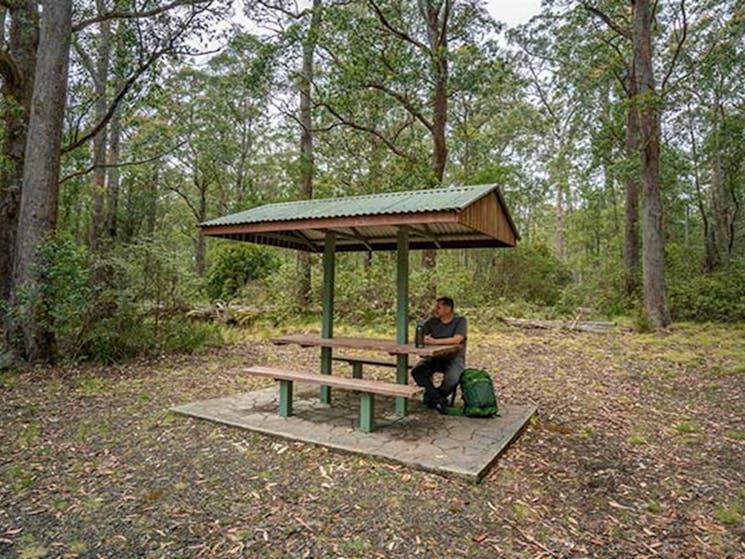 A man resting at a covered picnic table in Cobark Park picnic area, Barrington Tops National Park.