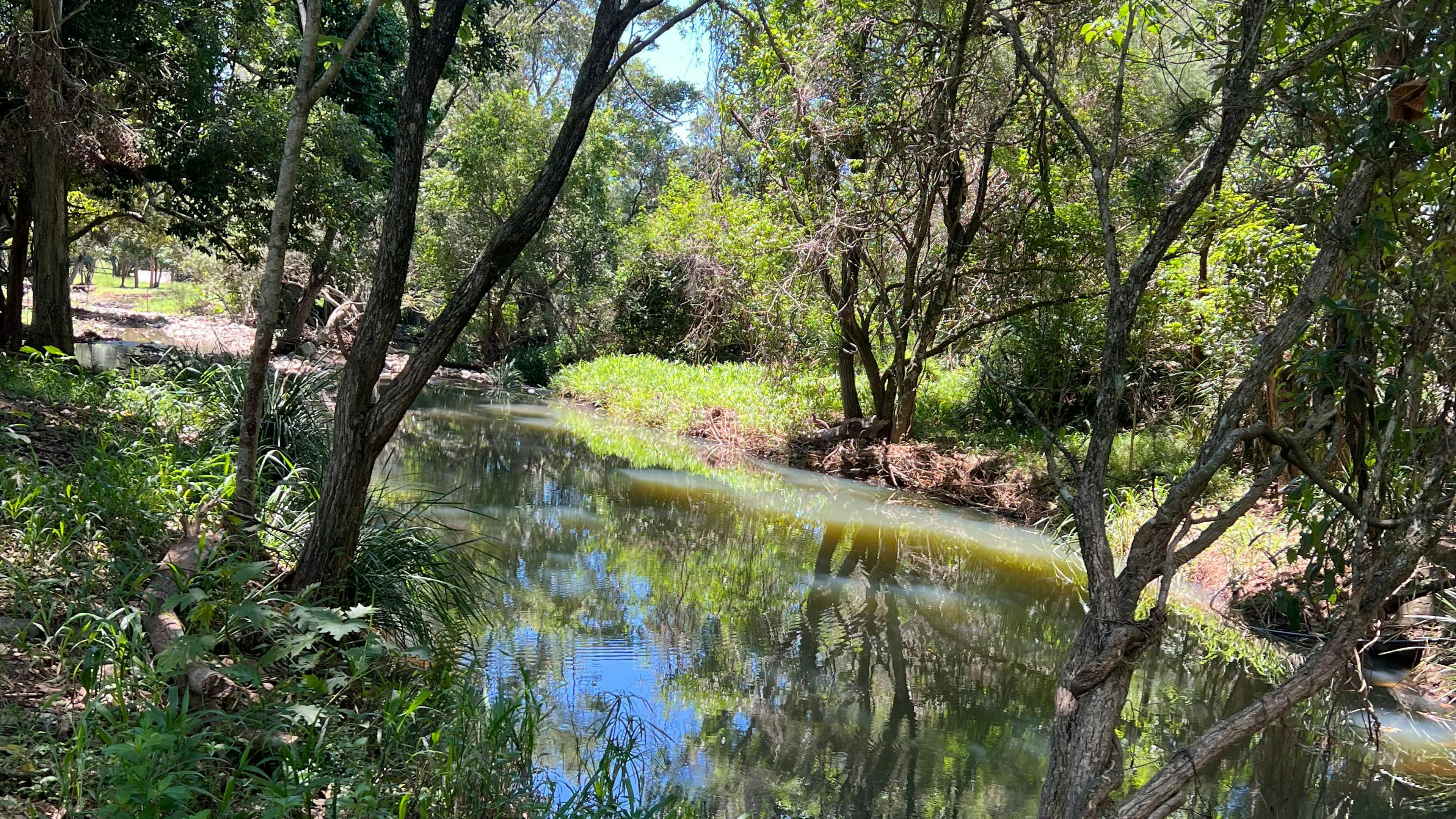 Cockatoo Creek