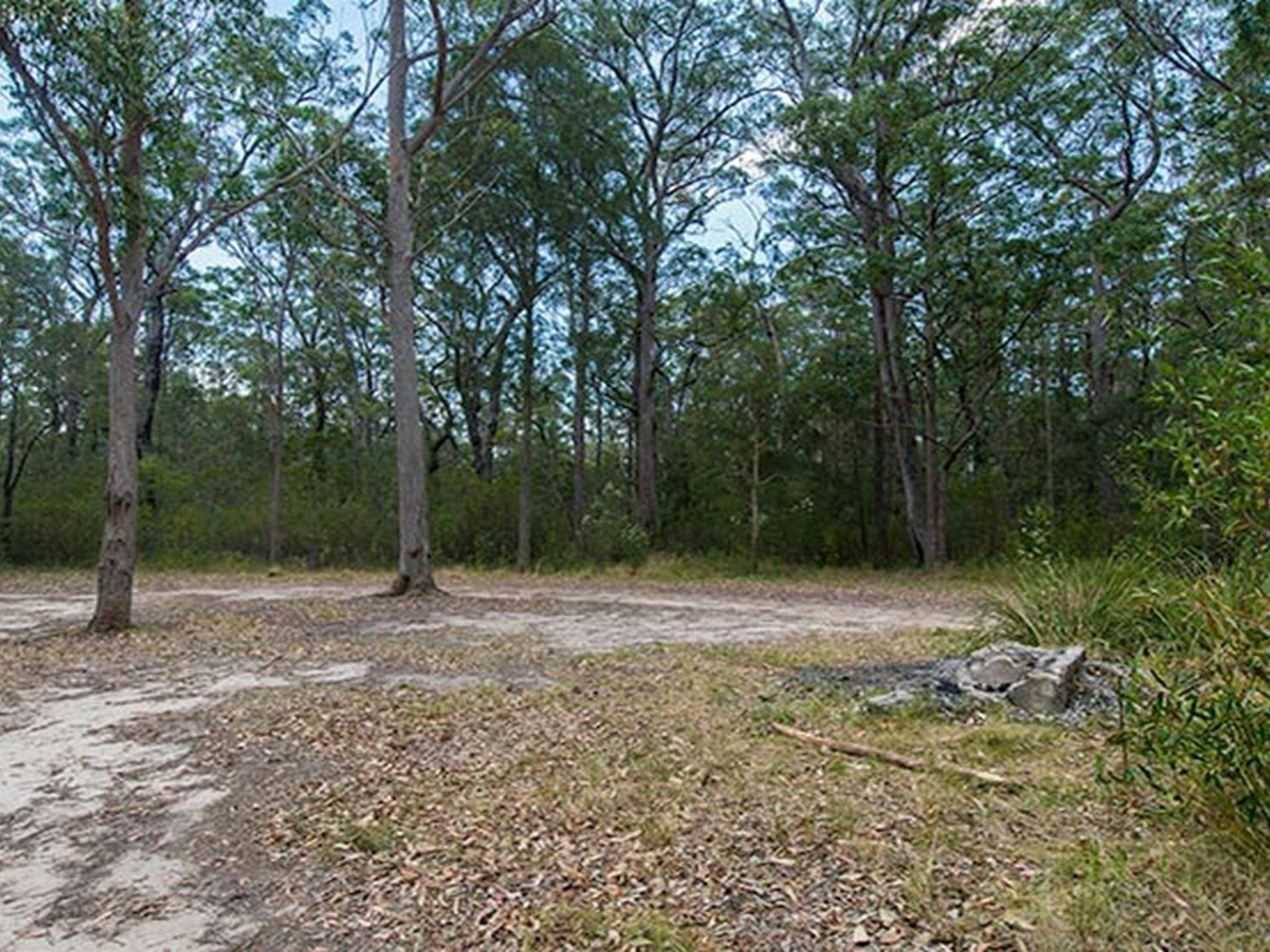 Cockatoo picnic area