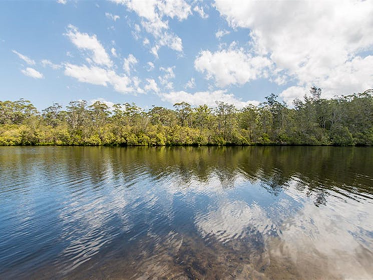 Cockatoo picnic area, Wallingat National Park. Photo: John Spencer