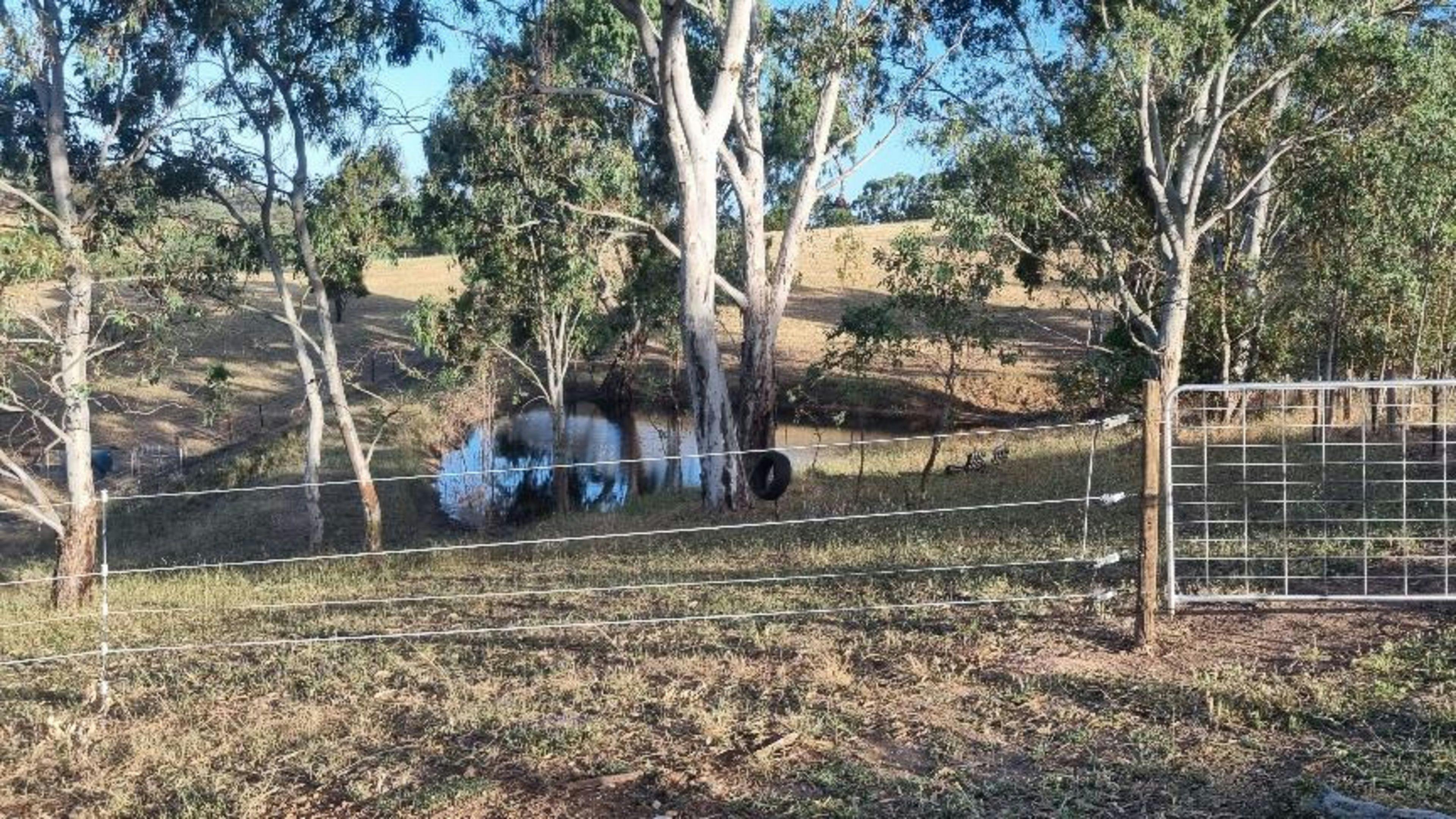 Cockatoo Valley Tiny Vacations