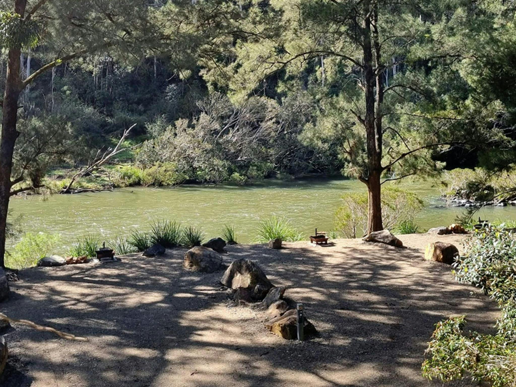 Campsites by the Nymboida River at Cod Hole campground and picnic area in Nymboi-Binderay National