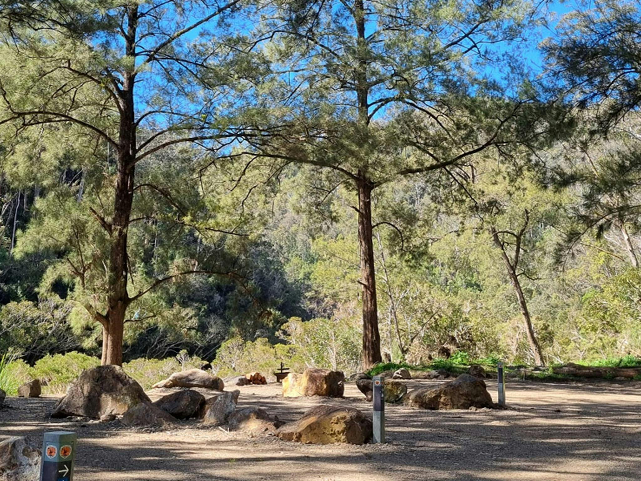 Campsites at Cod Hole campground and picnic area shaded by surrounding trees at Nymboi-Binderay