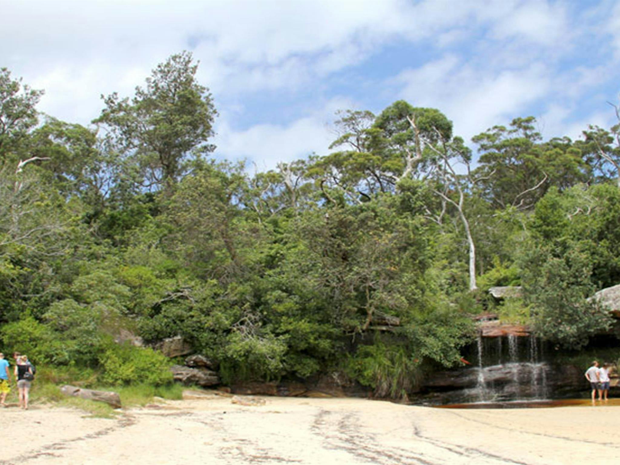 Collins Flat Beach, Sydney Harbour Nationalpark. Foto: John Yurasek/NSW Government
