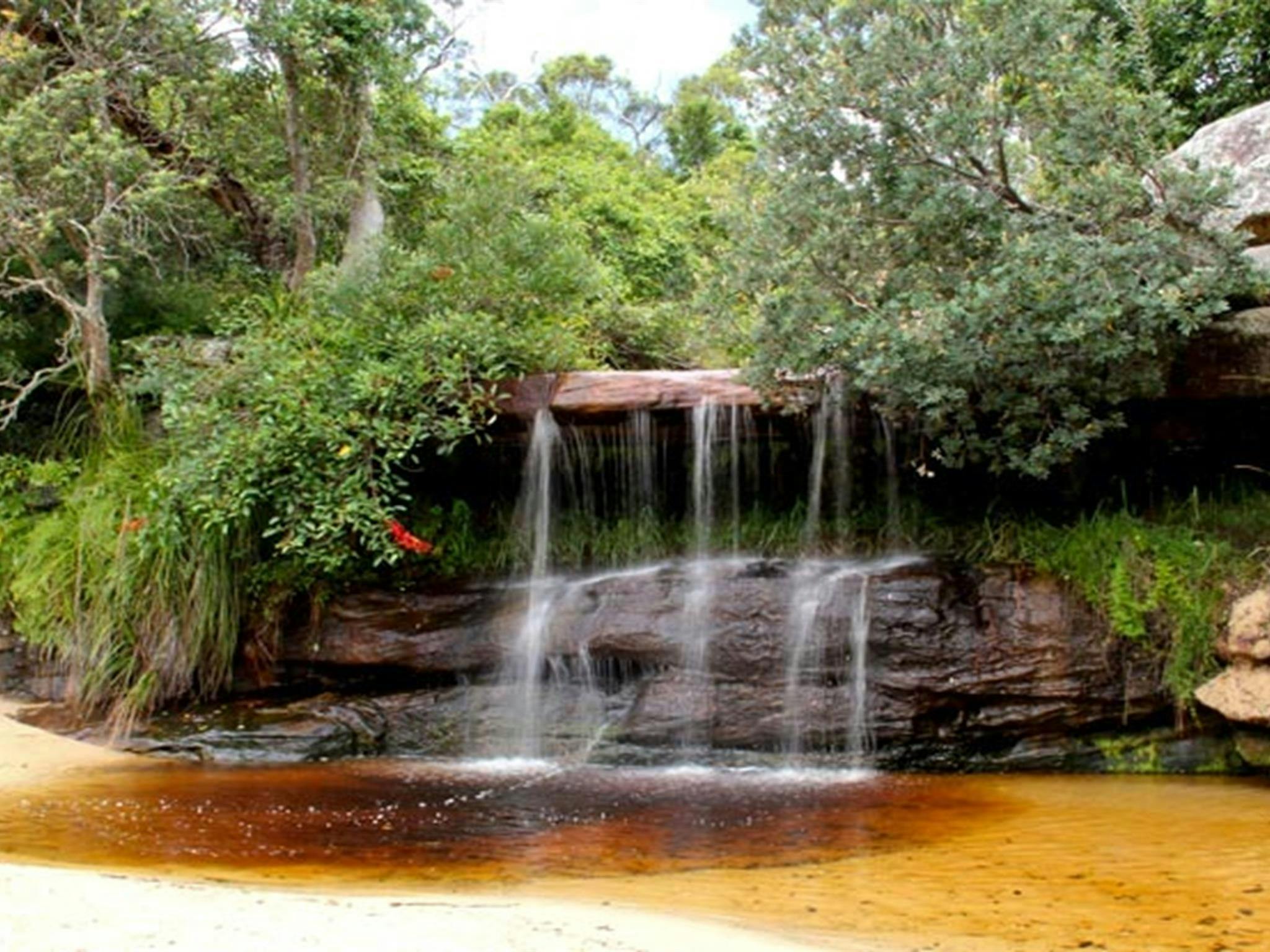 Collins Flat Beach, Sydney Harbour National Park. Foto: John Yurasek/Regierung von New South Wales