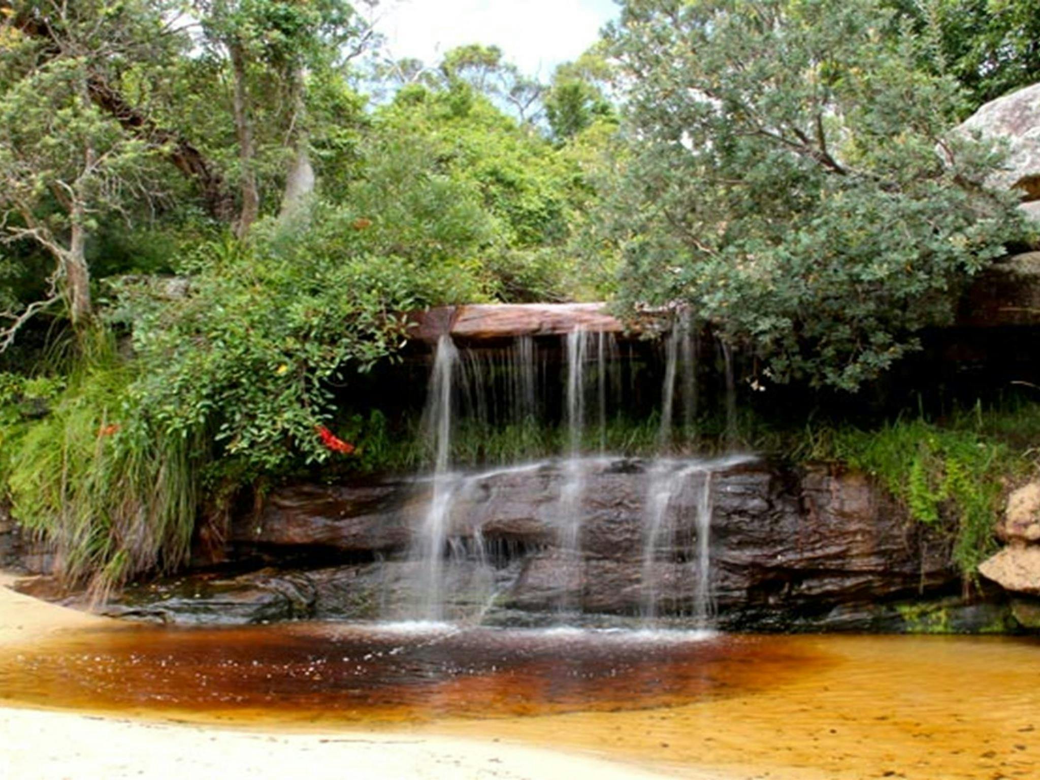 Collins Flat Beach, Sydney Harbour Nationalpark. Foto: John Yurasek/NSW Government