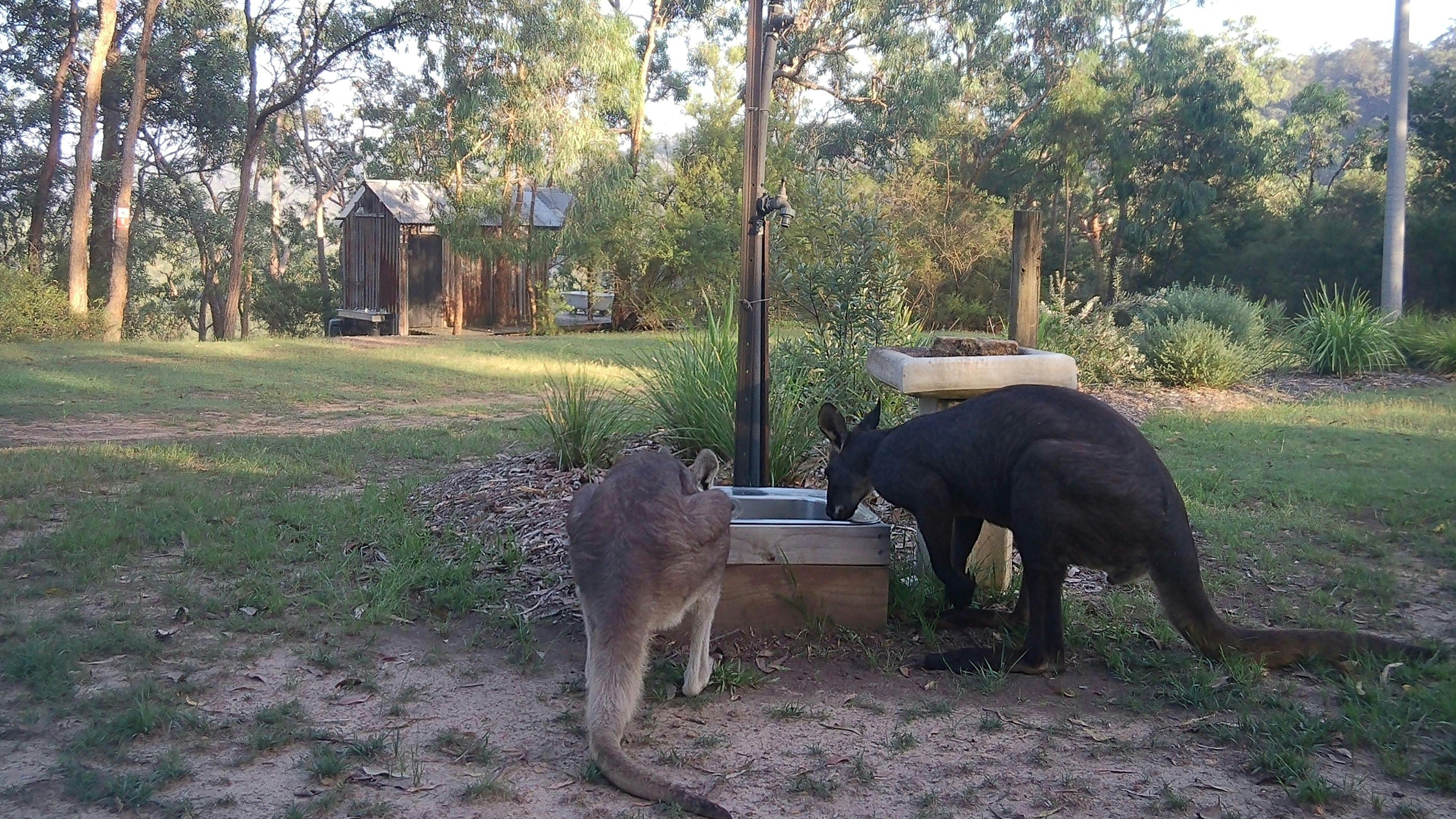 Colo Mudbrick Camping