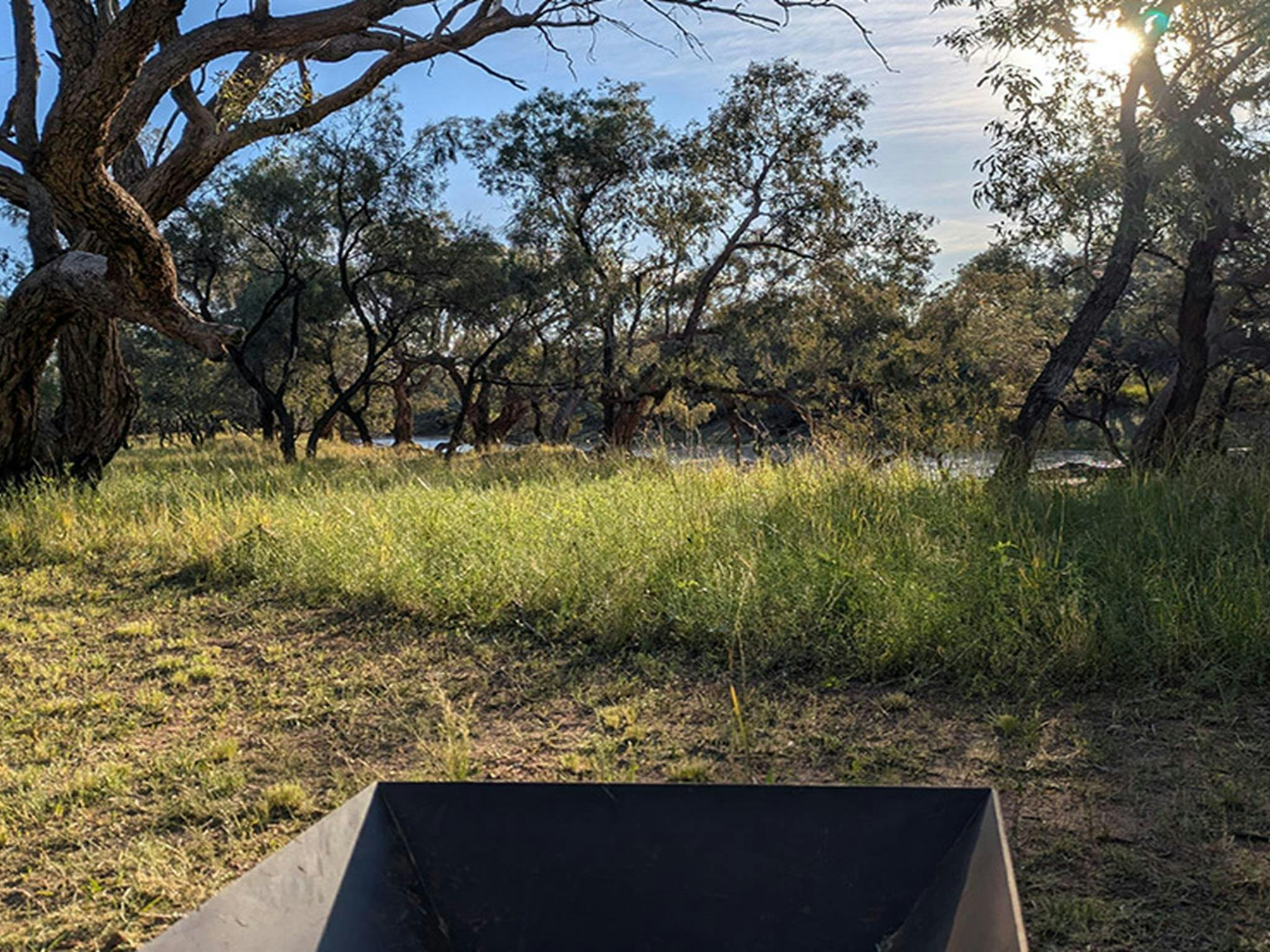 Distant view of the waterhole through the trees at Comeroo campground. Credit: Jessica Stokes &copy;