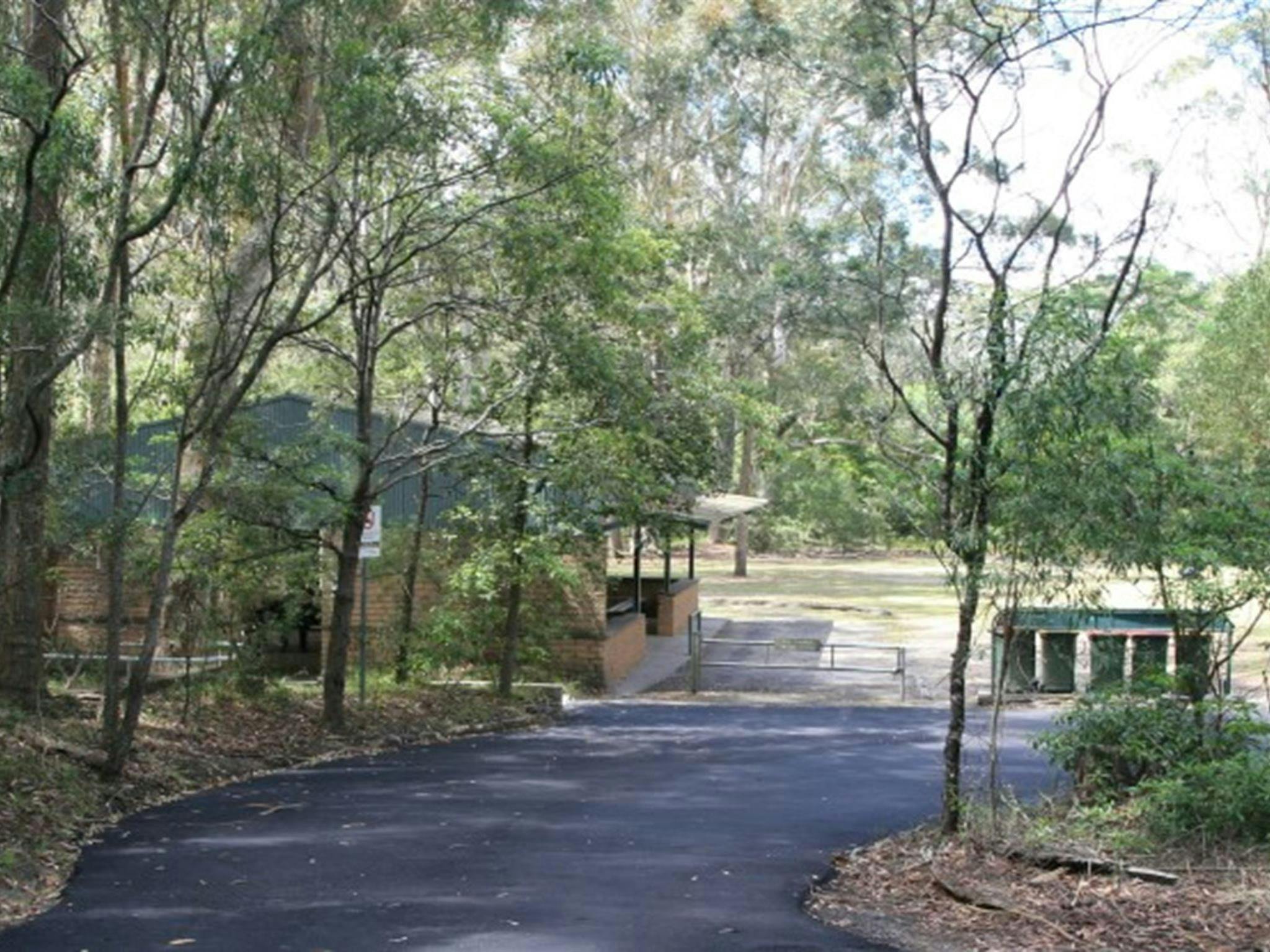 The road to Commandment Rock picnic area in Lane Cove National Park. Photo: Nathan Askey-Doran