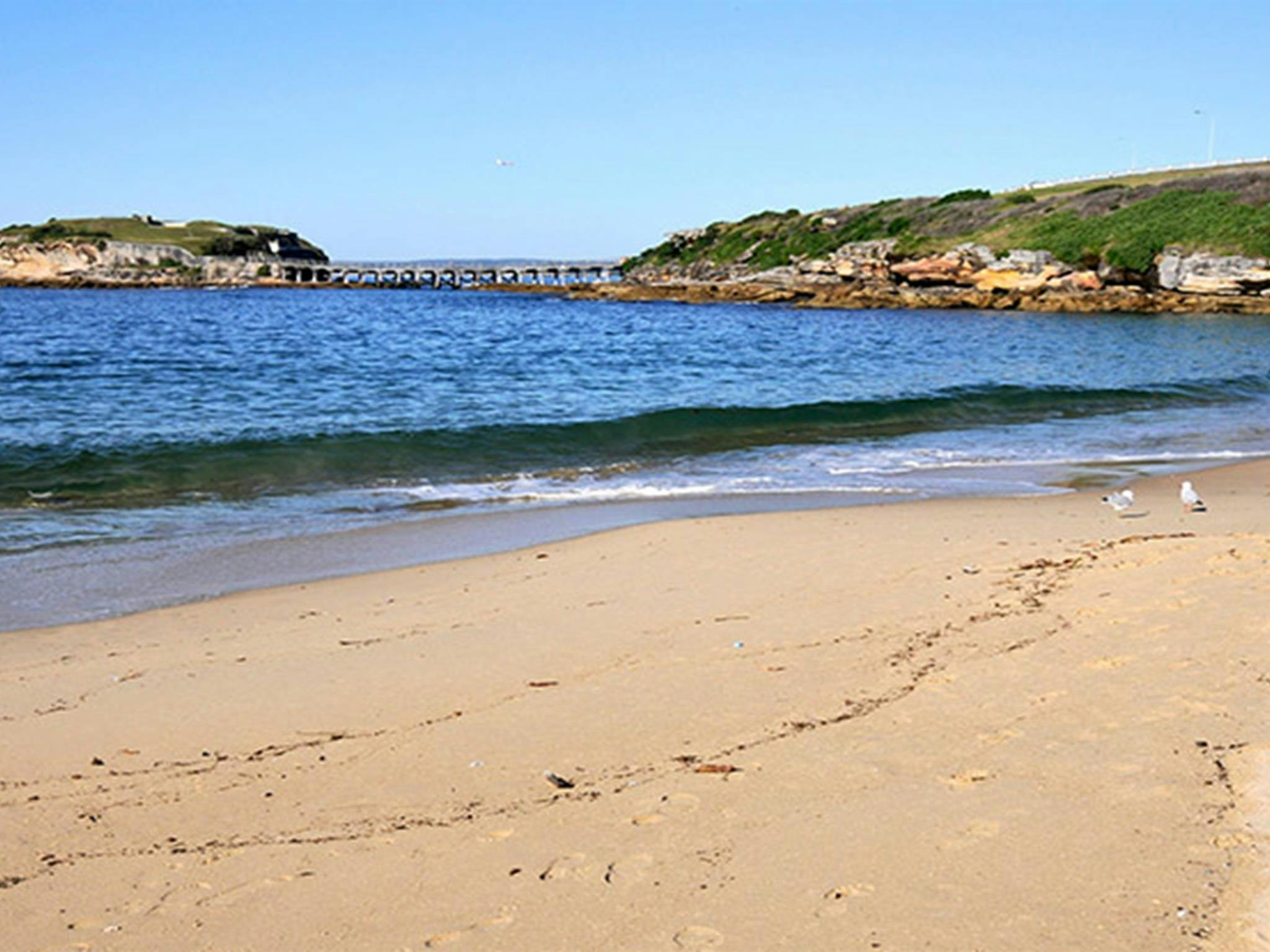 眺望康旺沙灘，一群海鷗在海鷗中翱翔，遠處是巴雷島。照片：