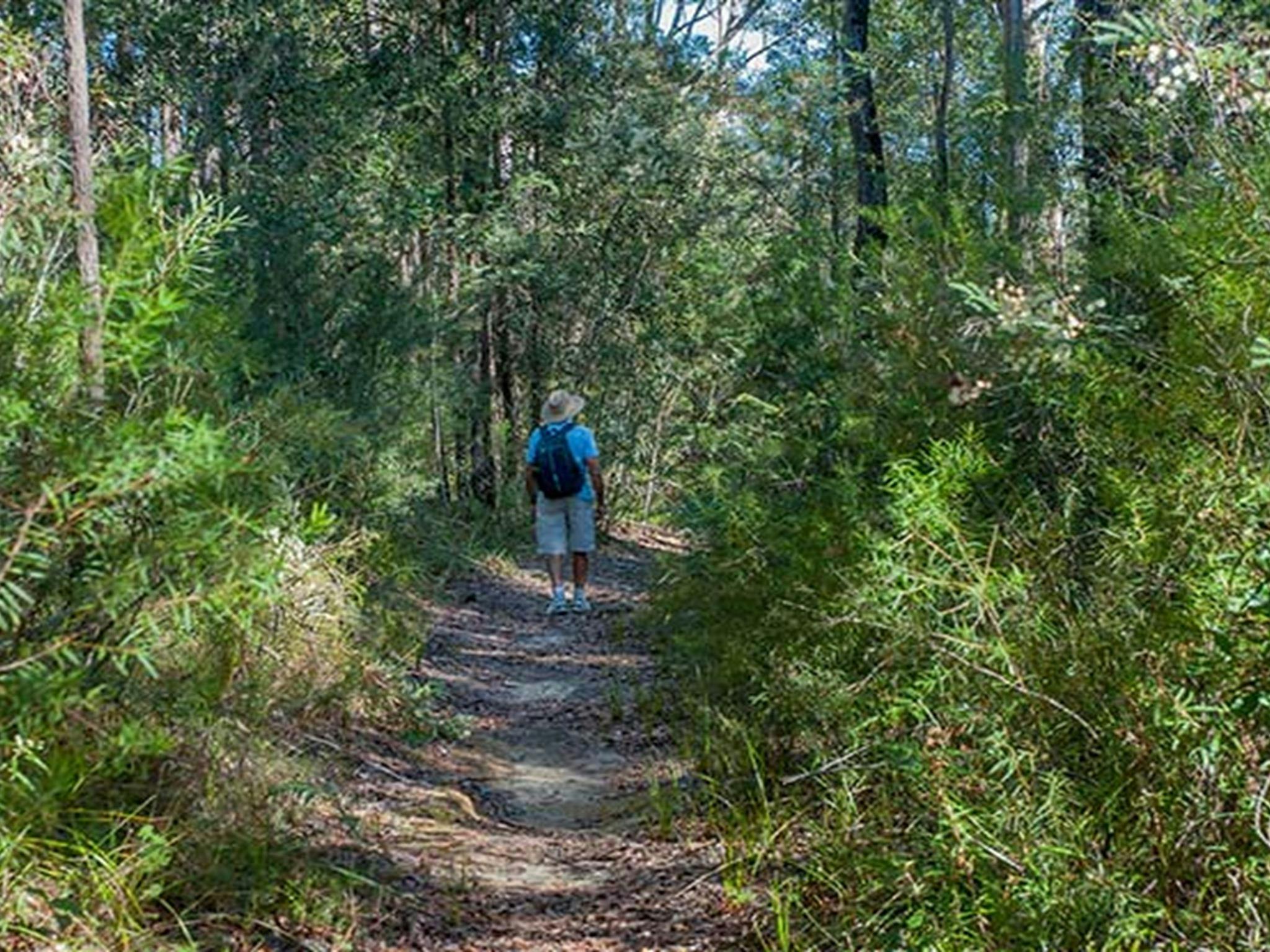 Conjola National Park