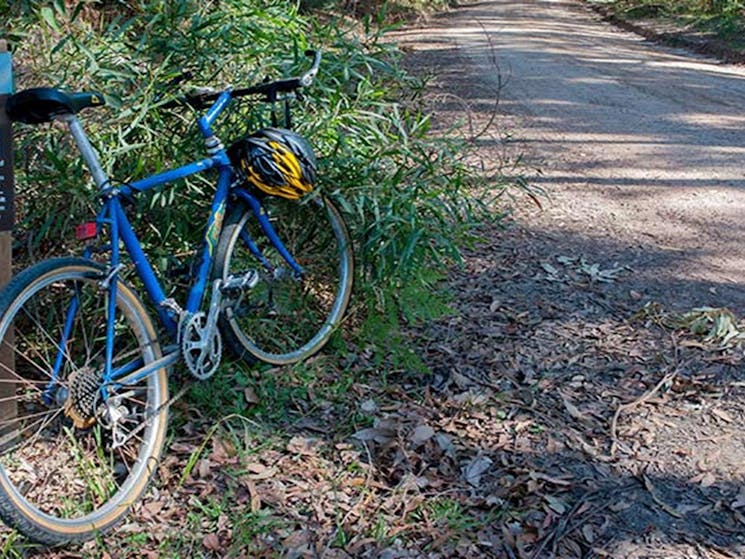 A bike rests against a sign beside a trail in Conjola National Park. Photo: Michael Van Ewijk &copy;