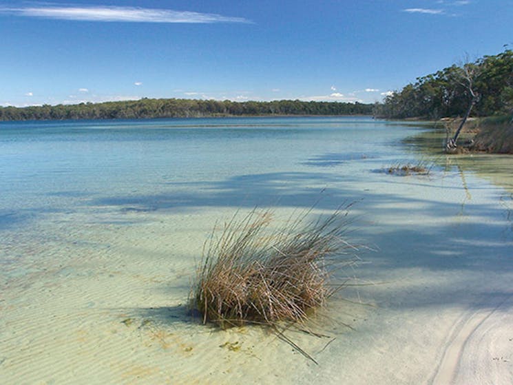 Clear water at Swan Lake, Conjola National Park. Photo: Michael Van Ewijk &copy; DPIE