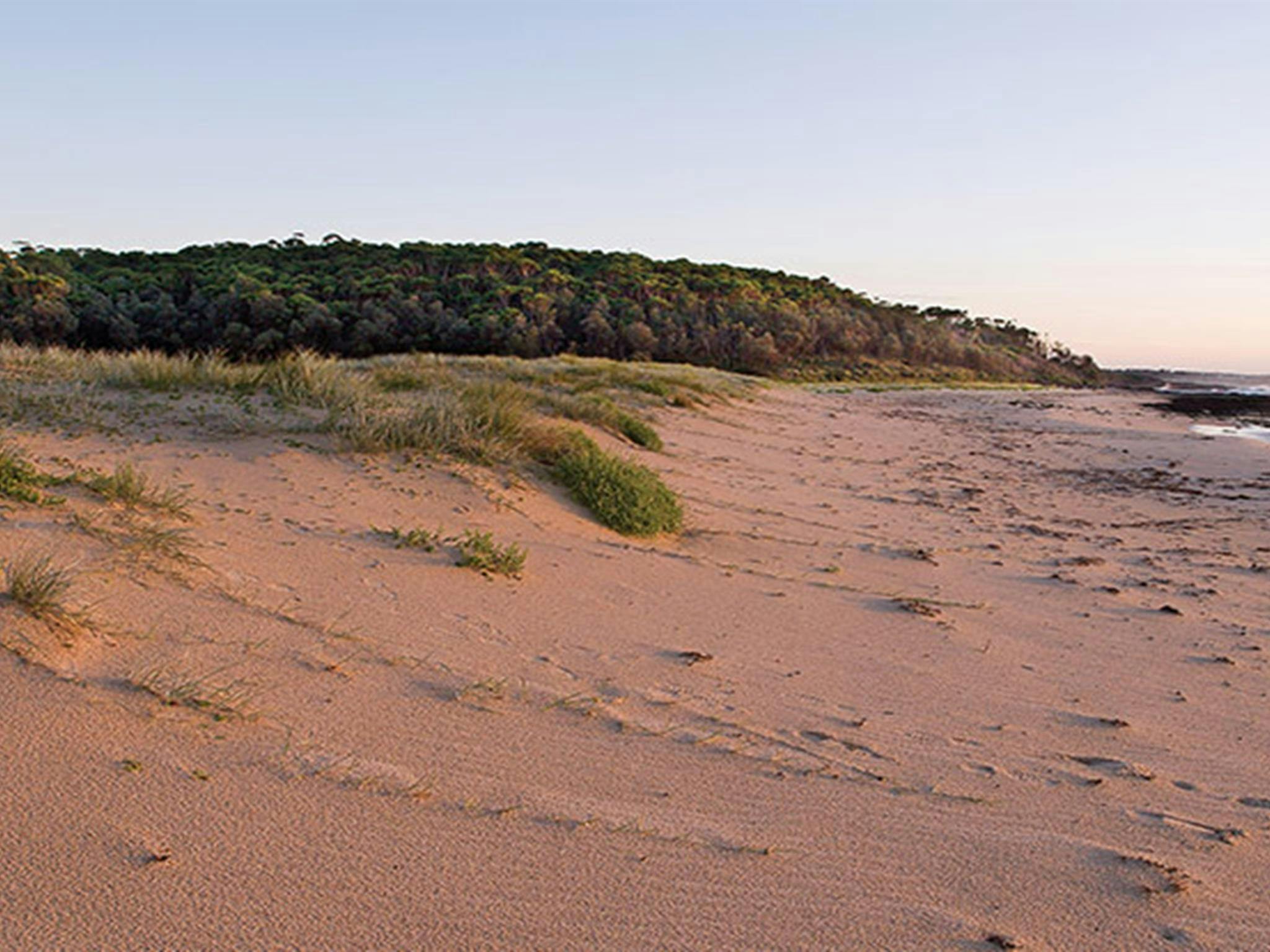 Küstenlinie am Monument Beach bei Sonnenaufgang, Nationalpark Conjola. Foto: Michael Van Ewijk © DPIE