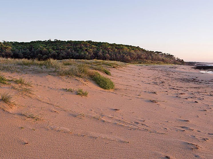 Monument Beach coastline at sunrise, Conjola National Park. Photo: Michael Van Ewijk &copy; DPIE
