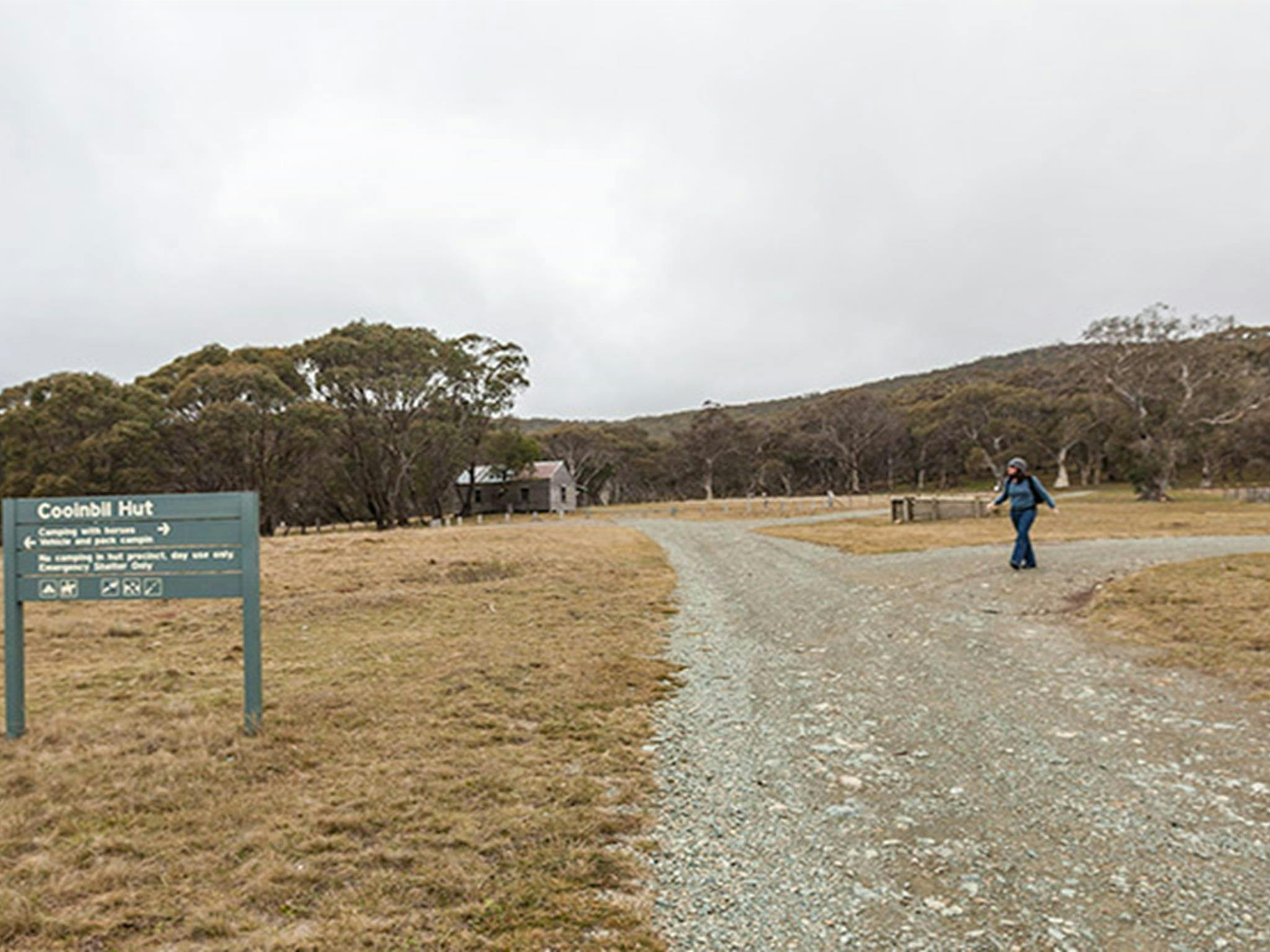 Cooinbil Hut campground, Kosciuszko National Park. Photo: Murray Vandaveer/NSW Government