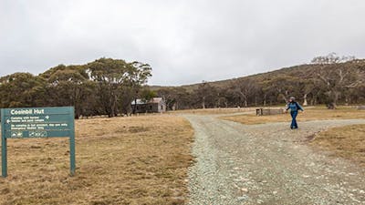 Cooinbil Hut campground, Kosciuszko National Park. Photo: Murray Vandaveer/NSW Government