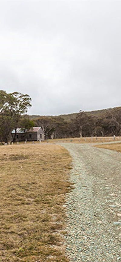 Cooinbil Hut campground, Kosciuszko National Park. Photo: Murray Vandaveer/NSW Government