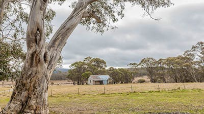 Cooinbil Hut campground, Kosciuszko National Park. Photo: Murray Vandaveer/DPIE