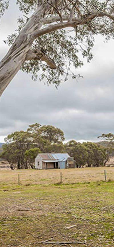 Cooinbil Hut campground, Kosciuszko National Park. Photo: Murray Vandaveer/DPIE