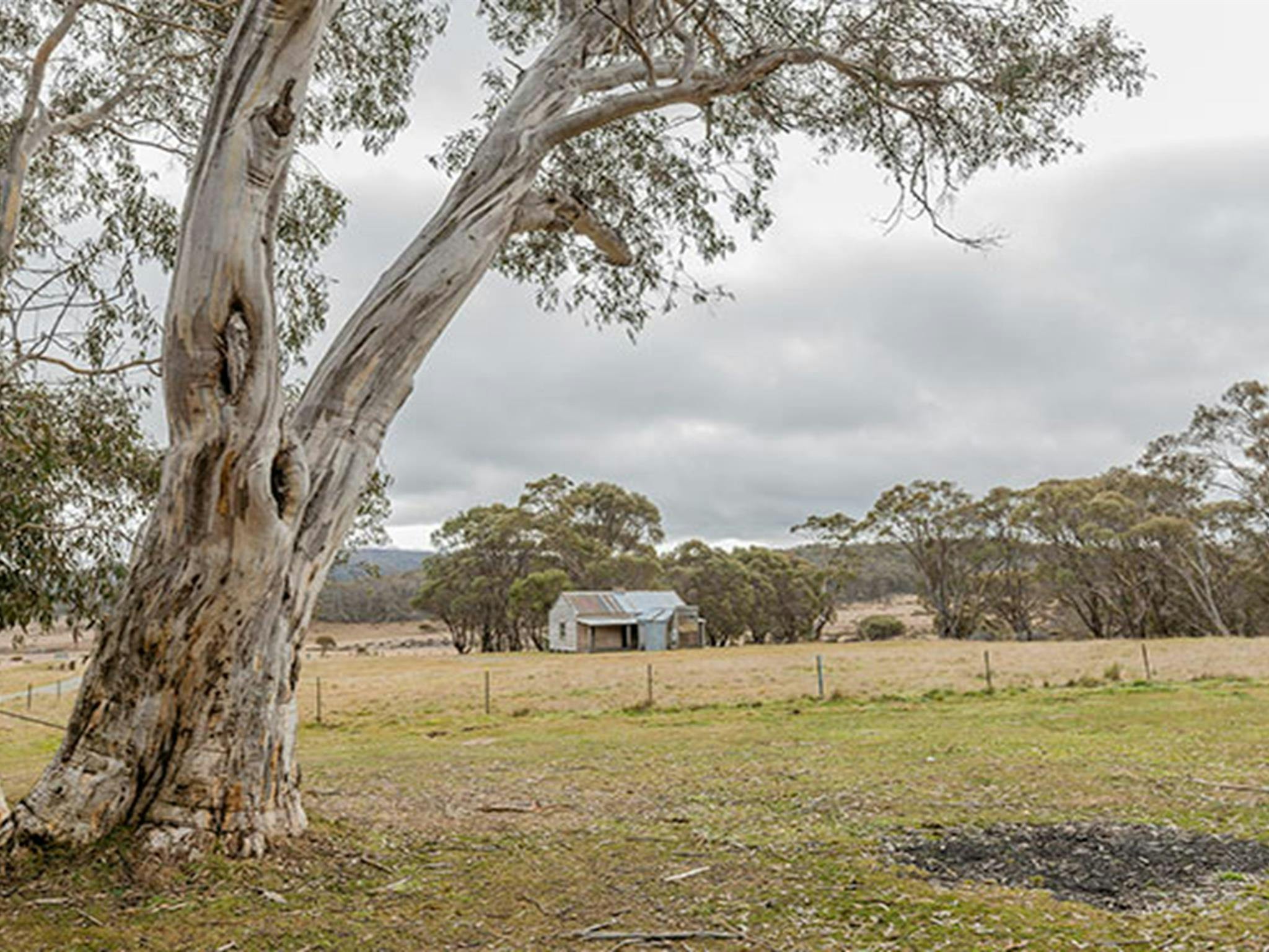 Cooinbil Hut campground, Kosciuszko National Park. Photo: Murray Vandaveer/DPIE