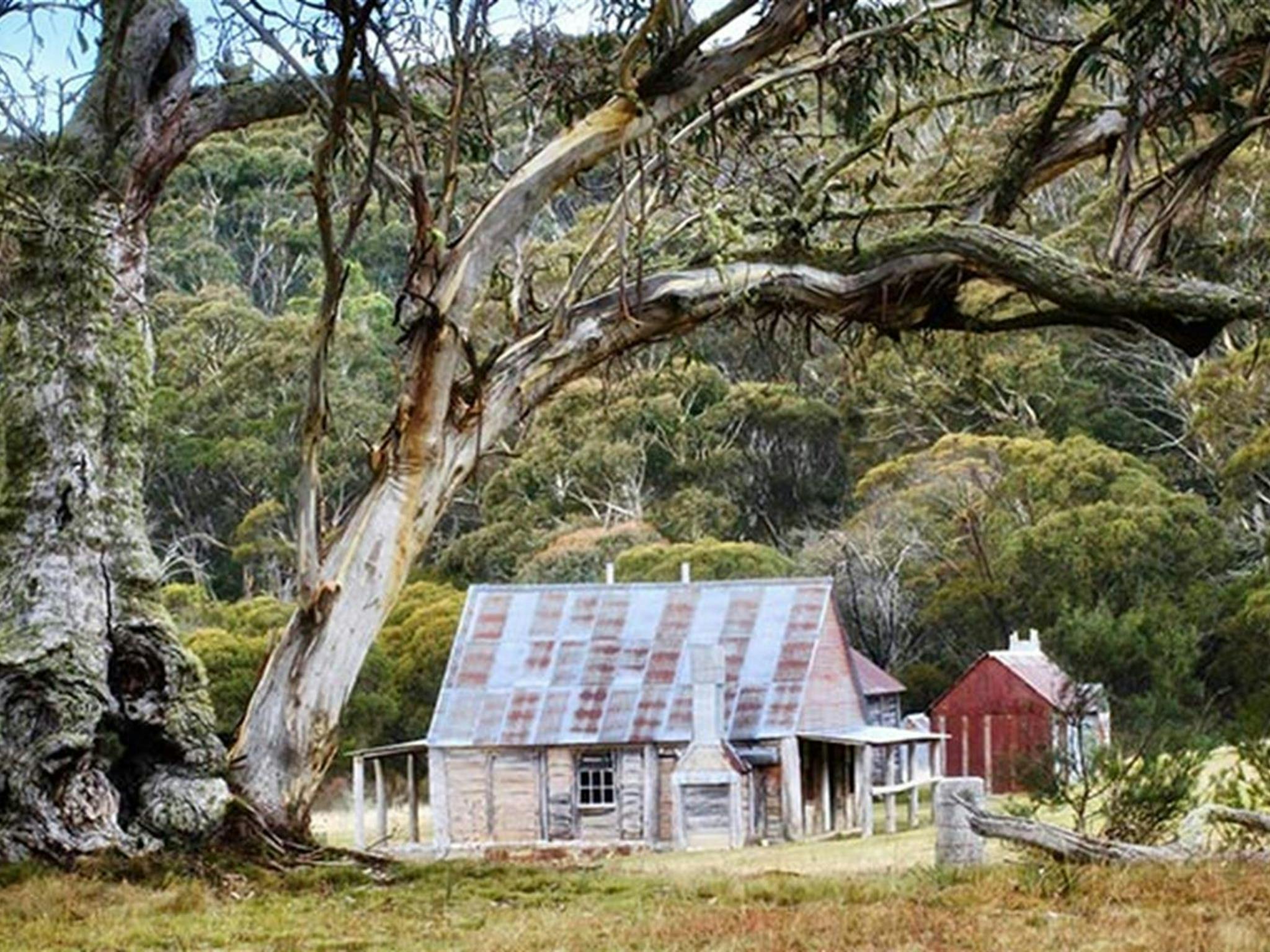 コジオスコ国立公園のスノーガムに囲まれたCoolamineHomesteadの建物。写真：Jennene