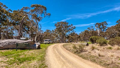Cooleman Mountain campground, Kosciuszko National Park. Photo: Murray Vanderveer/NSW Government