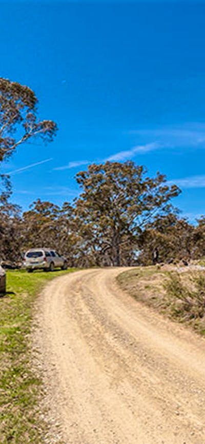 Cooleman Mountain campground, Kosciuszko National Park. Photo: Murray Vanderveer/NSW Government