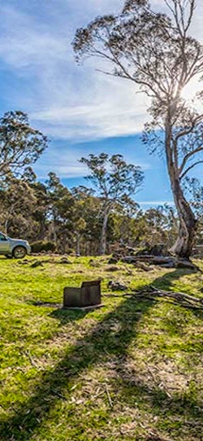 Cooleman Mountain campground, Kosciuszko National Park. Photo: Murray Vanderveer/NSW Government