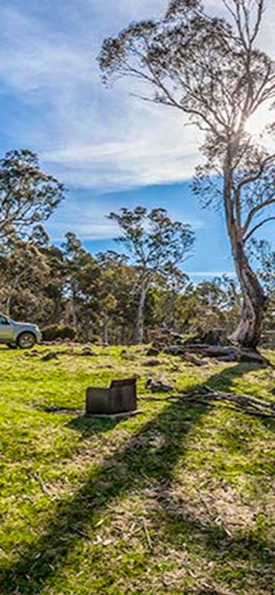 Cooleman Mountain campground, Kosciuszko National Park. Photo: Murray Vanderveer/NSW Government