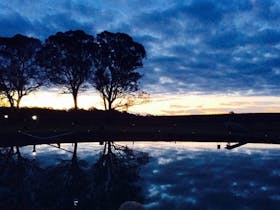 Coonawarra Bush Holiday Park