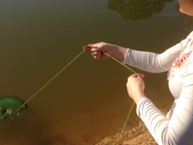 Coonawarra Bush Holiday Park